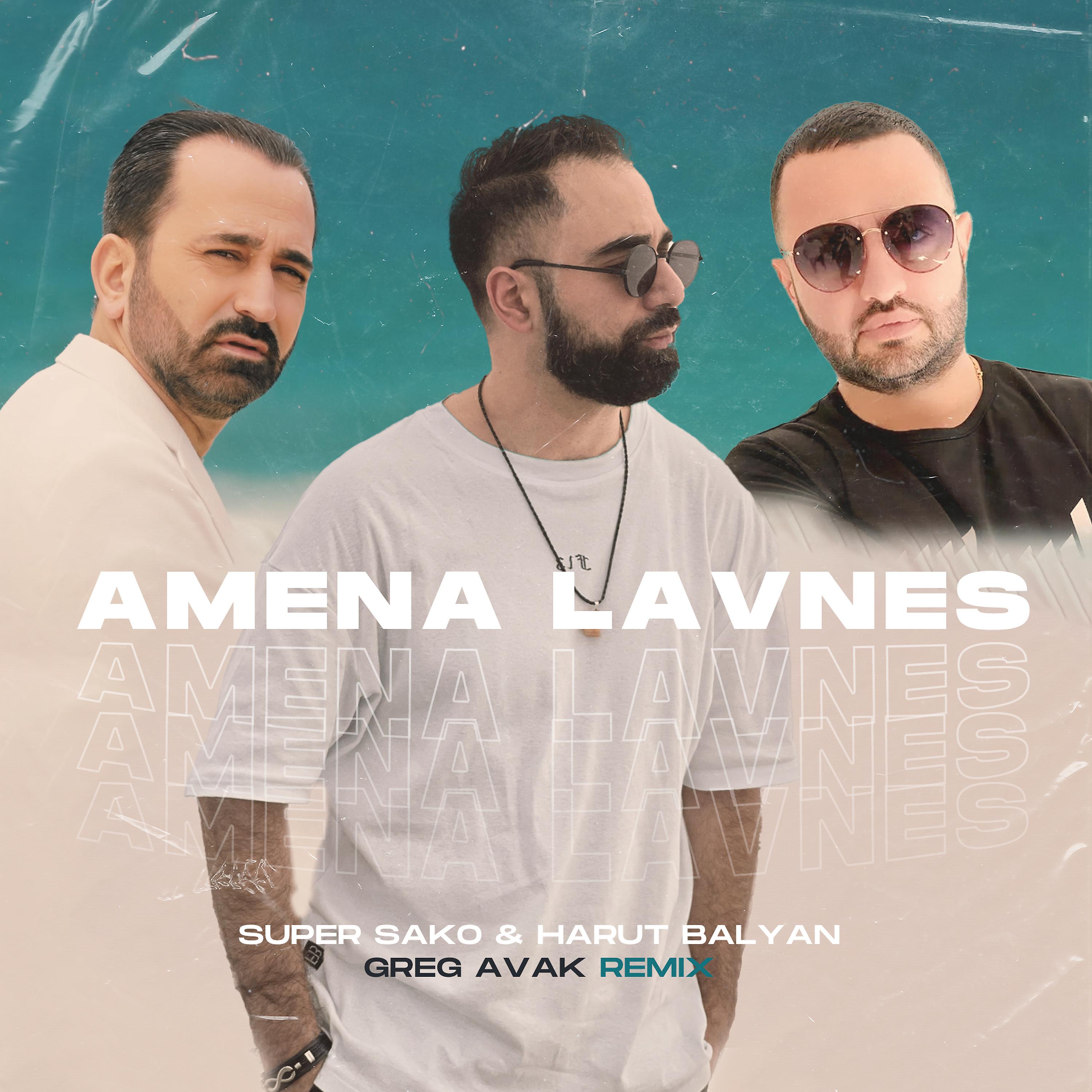 Постер альбома Amena Lavnes (Greg Avak Remix)