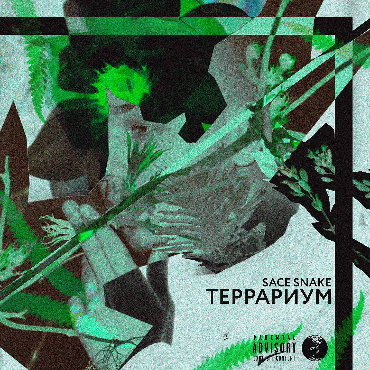 Постер альбома Террариум