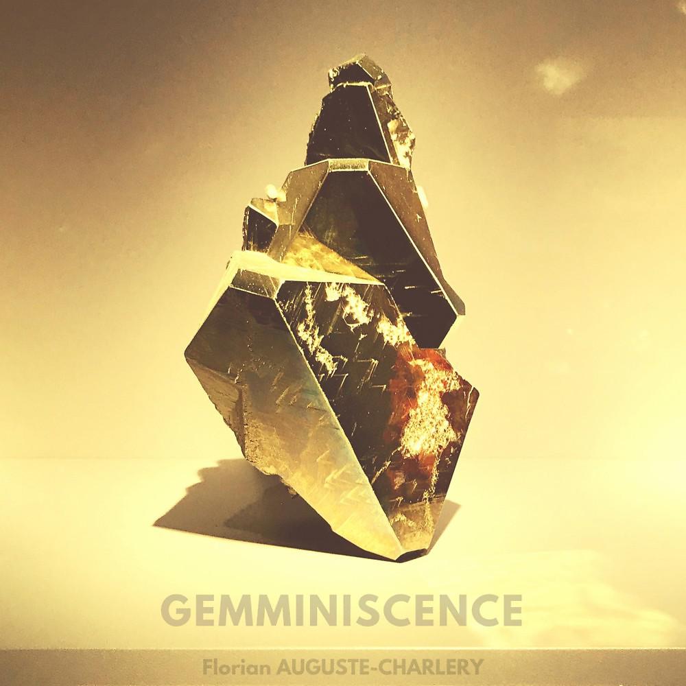 Постер альбома Gemminiscence