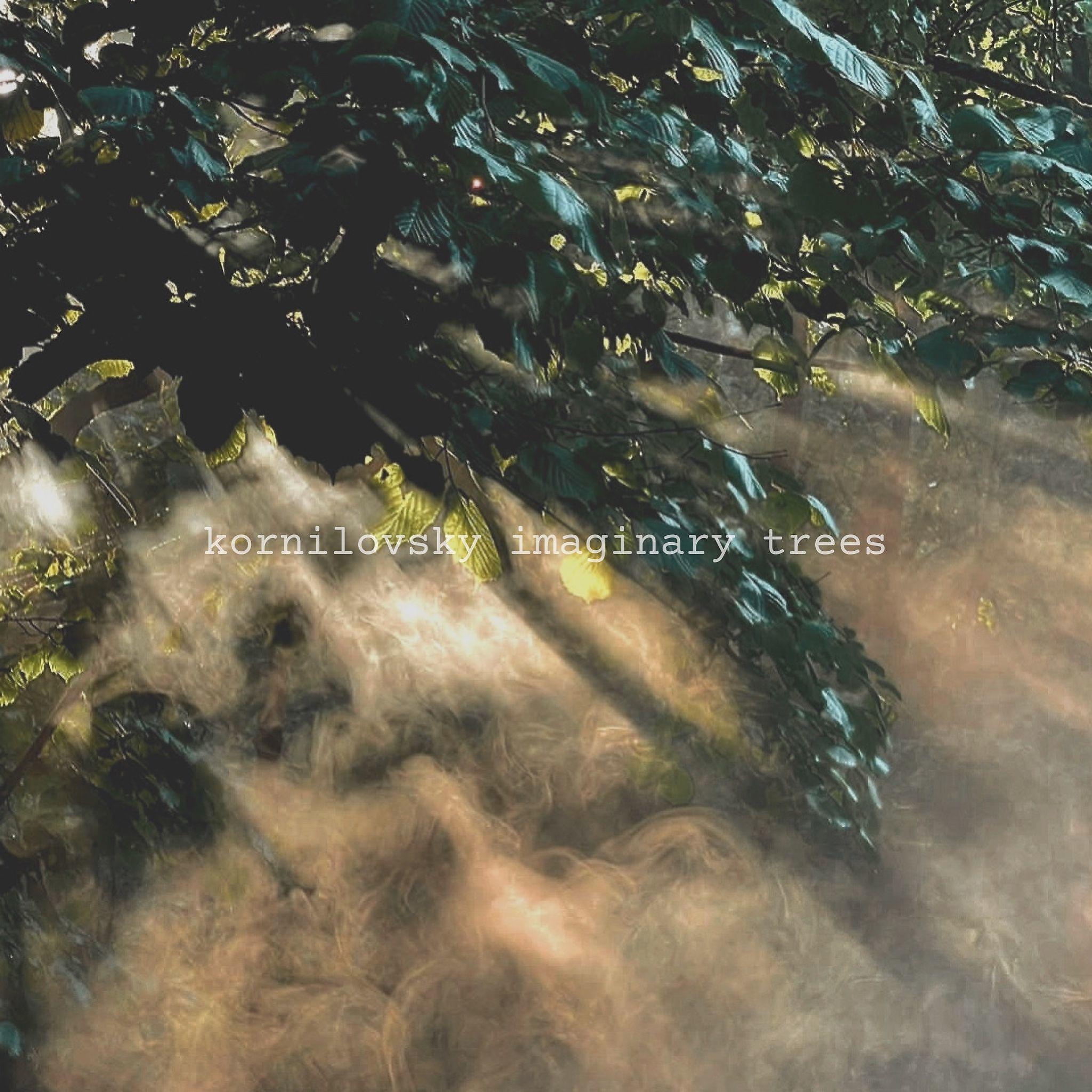 Постер альбома Imaginary Trees