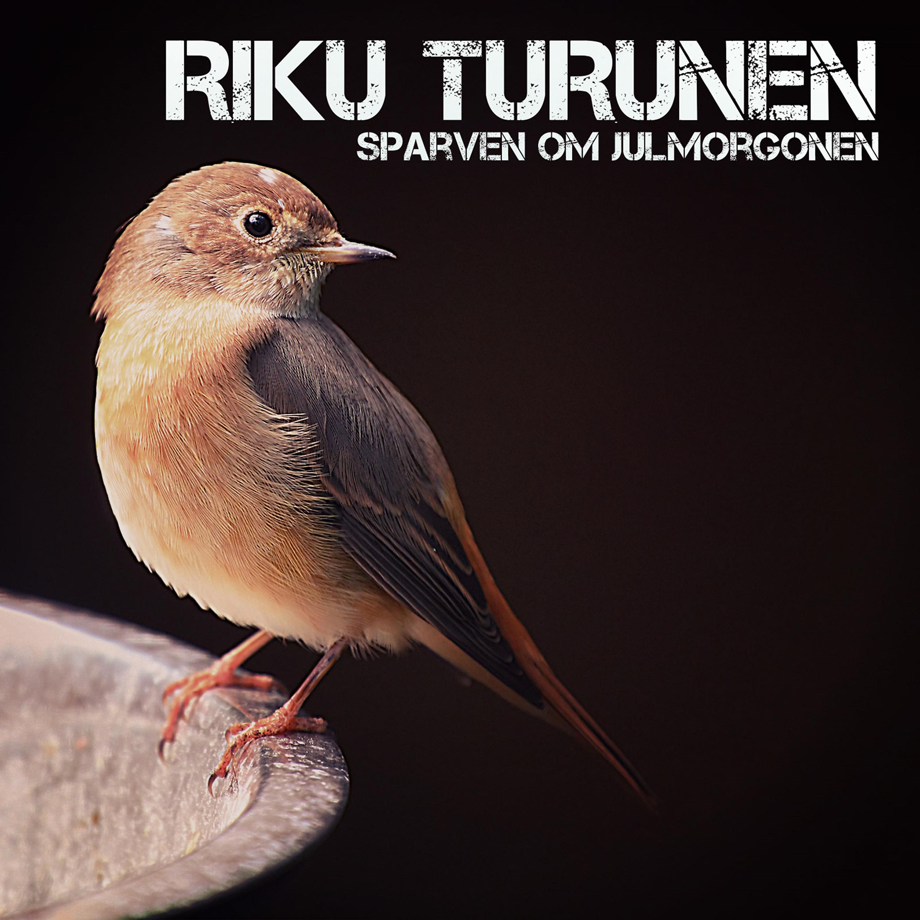 Постер альбома Sparven Om Julmorgonen