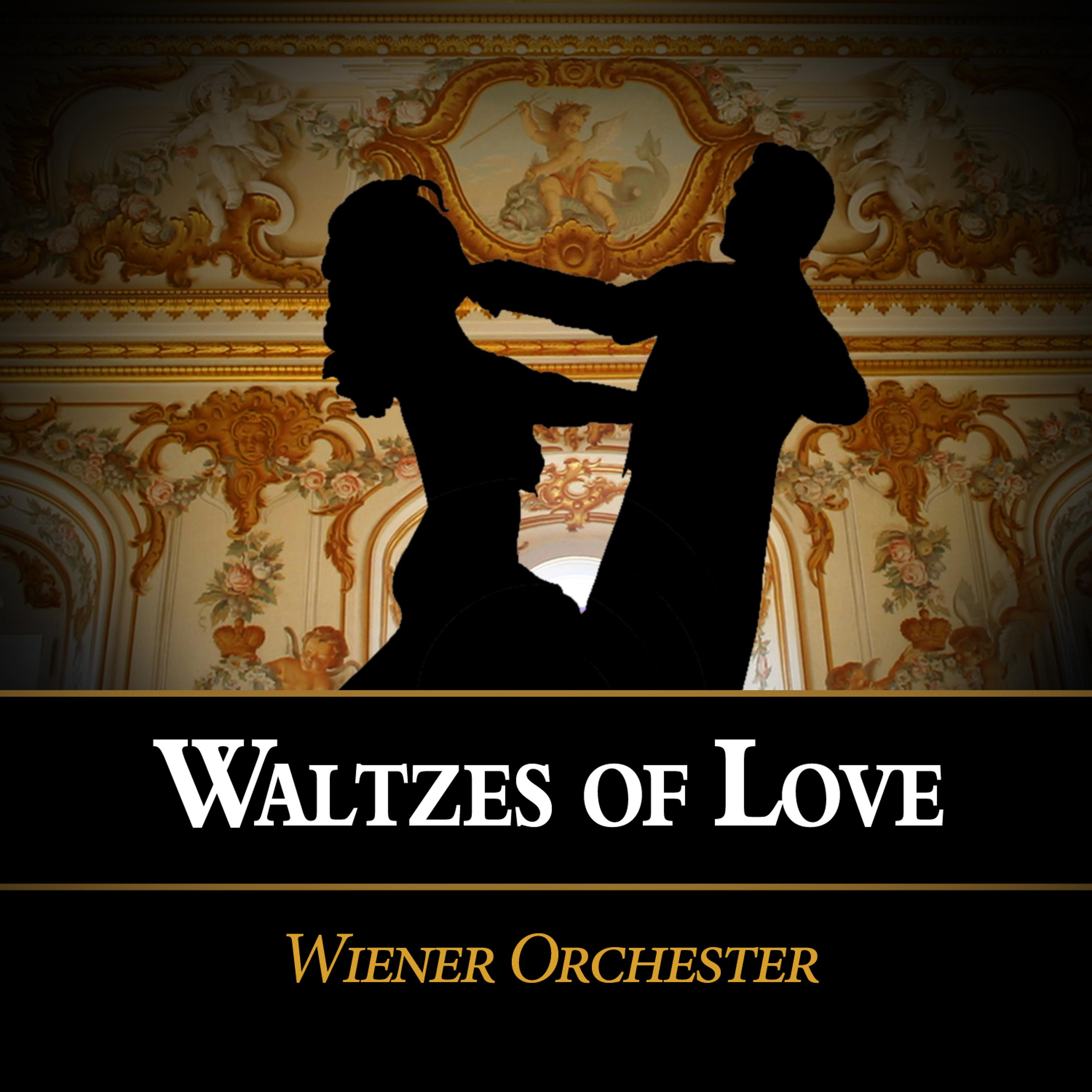Постер альбома Waltzes of Love