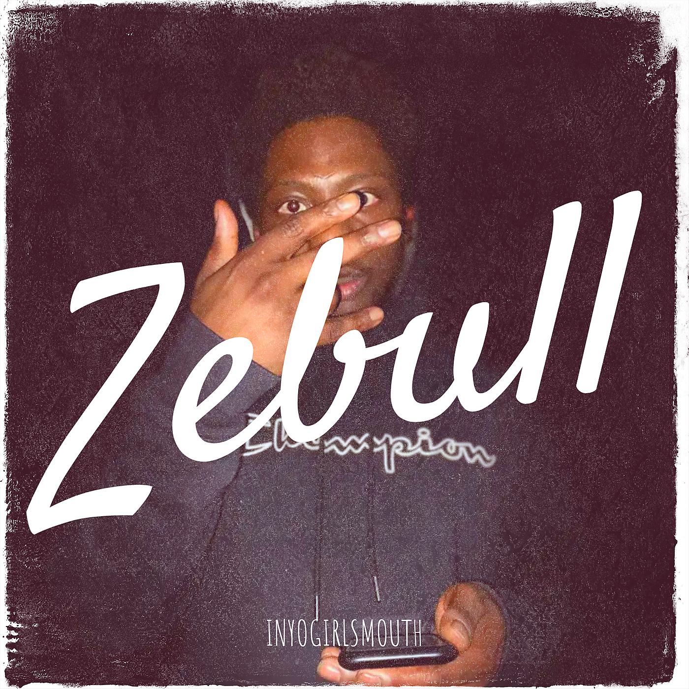 Постер альбома Zebull