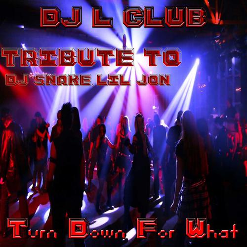Постер альбома Turn Down for What: Tribute to DJ Snake & Lil Jon
