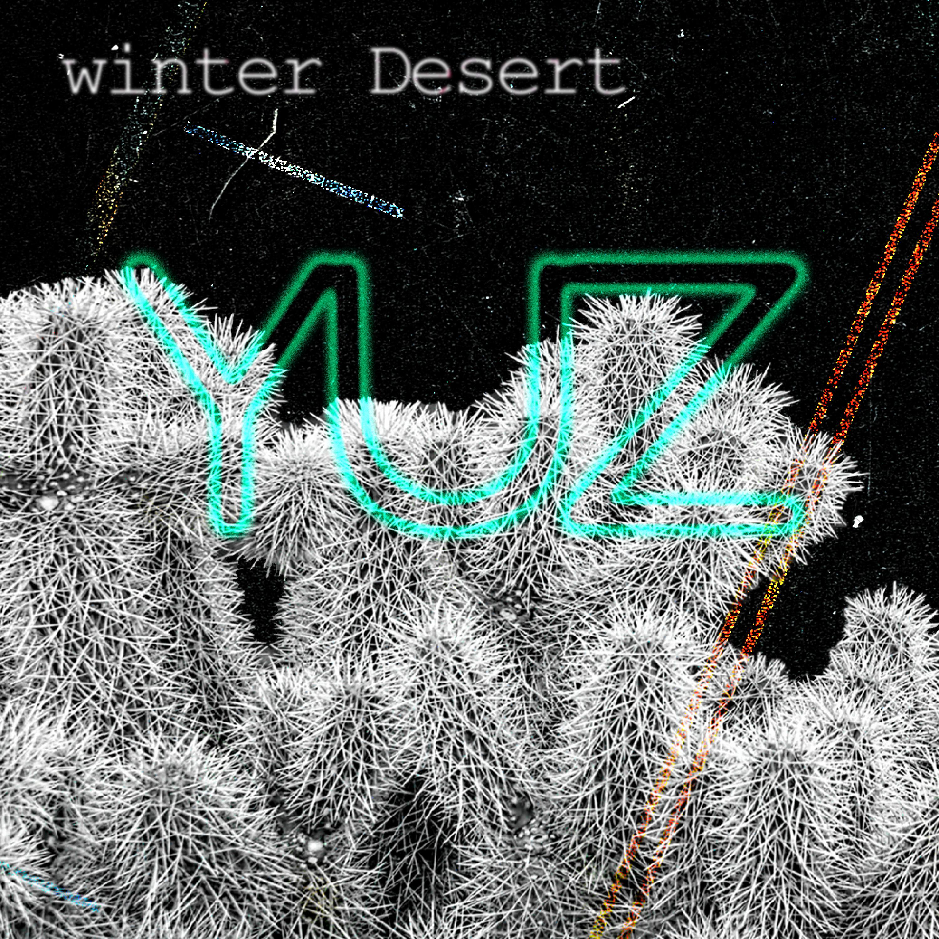 Постер альбома Winter Desert
