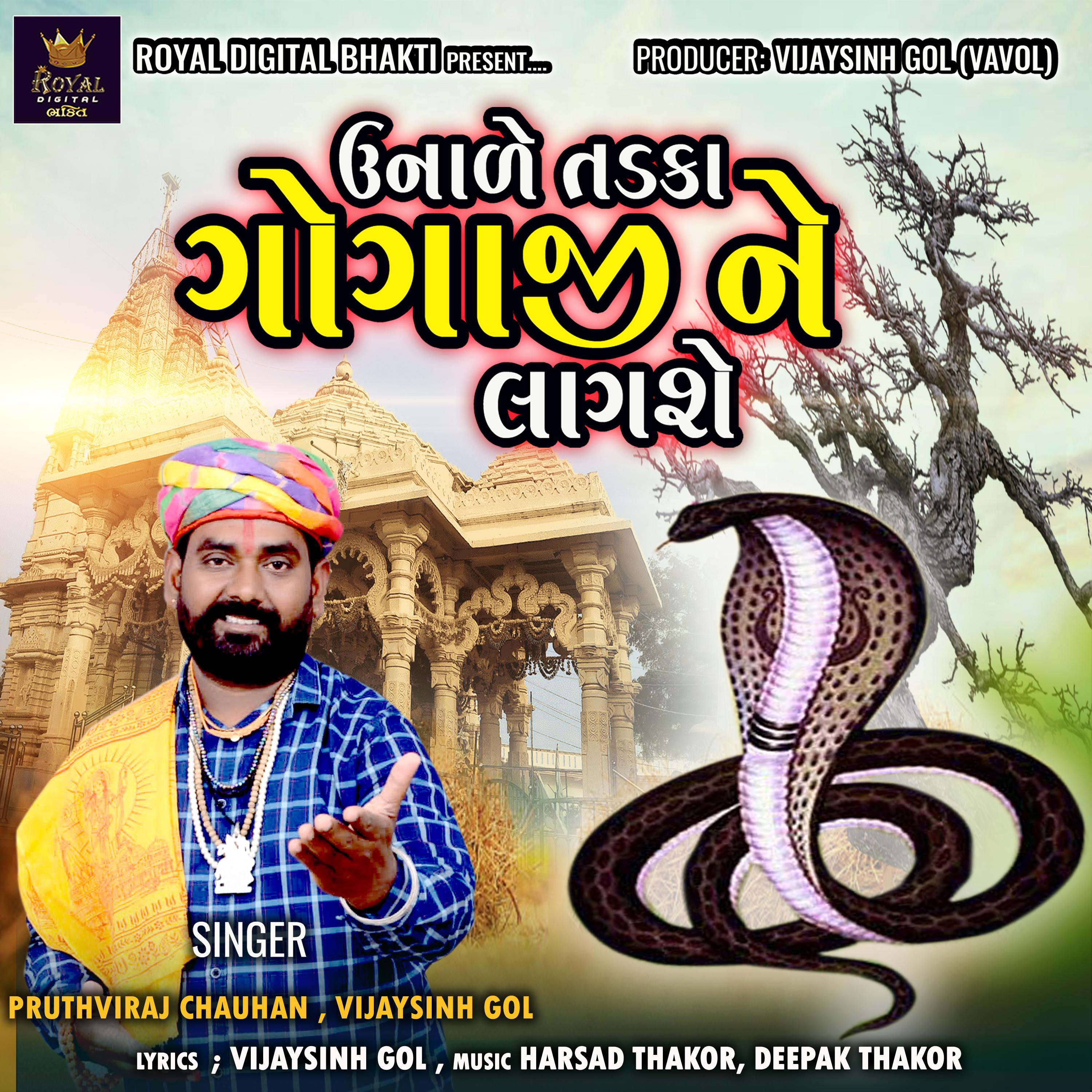 Постер альбома Unale Tadka Gogaji Ne Lagse