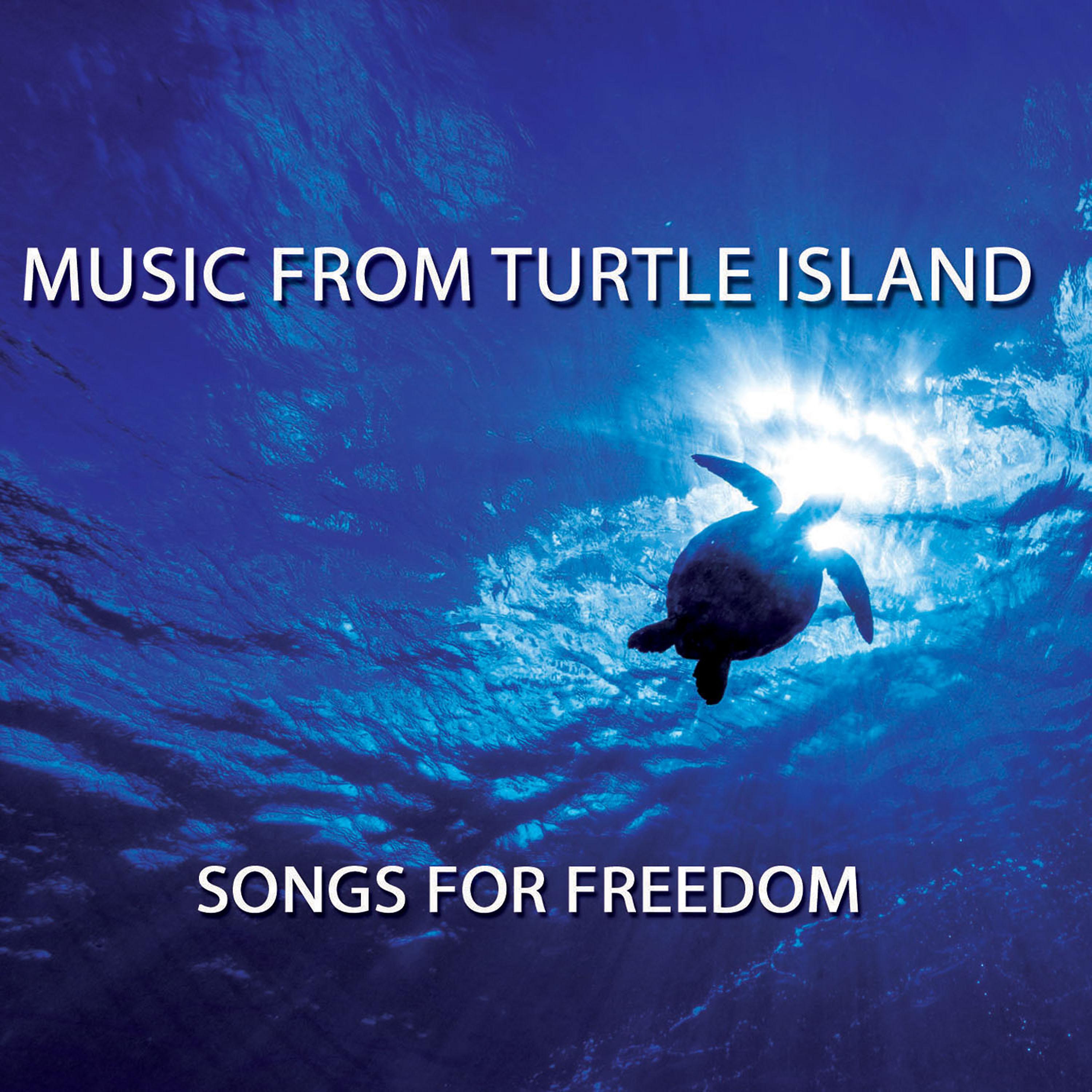 Постер альбома Music from Turtle Island: Songs for Freedom
