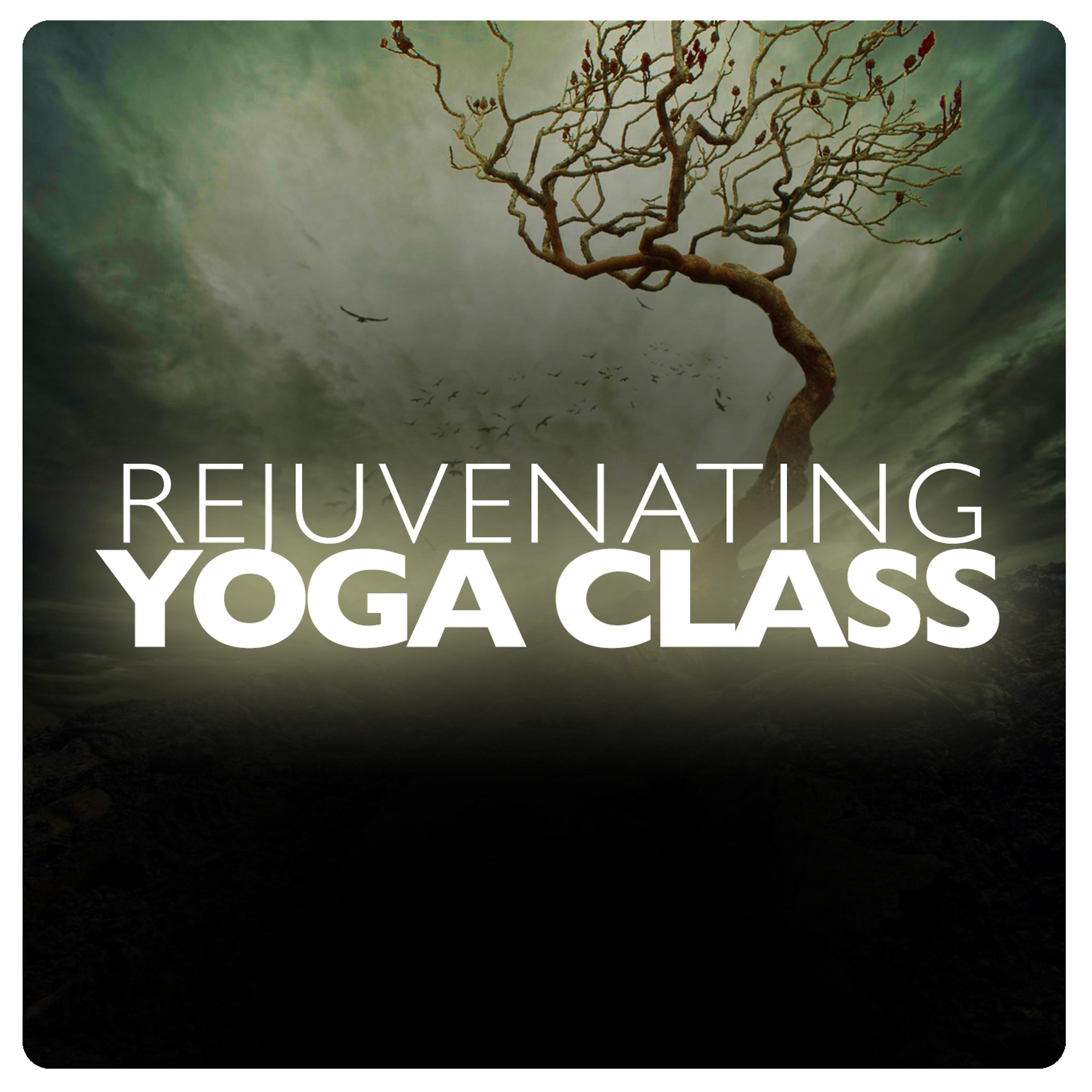 Постер альбома Rejuvenating Yoga Class