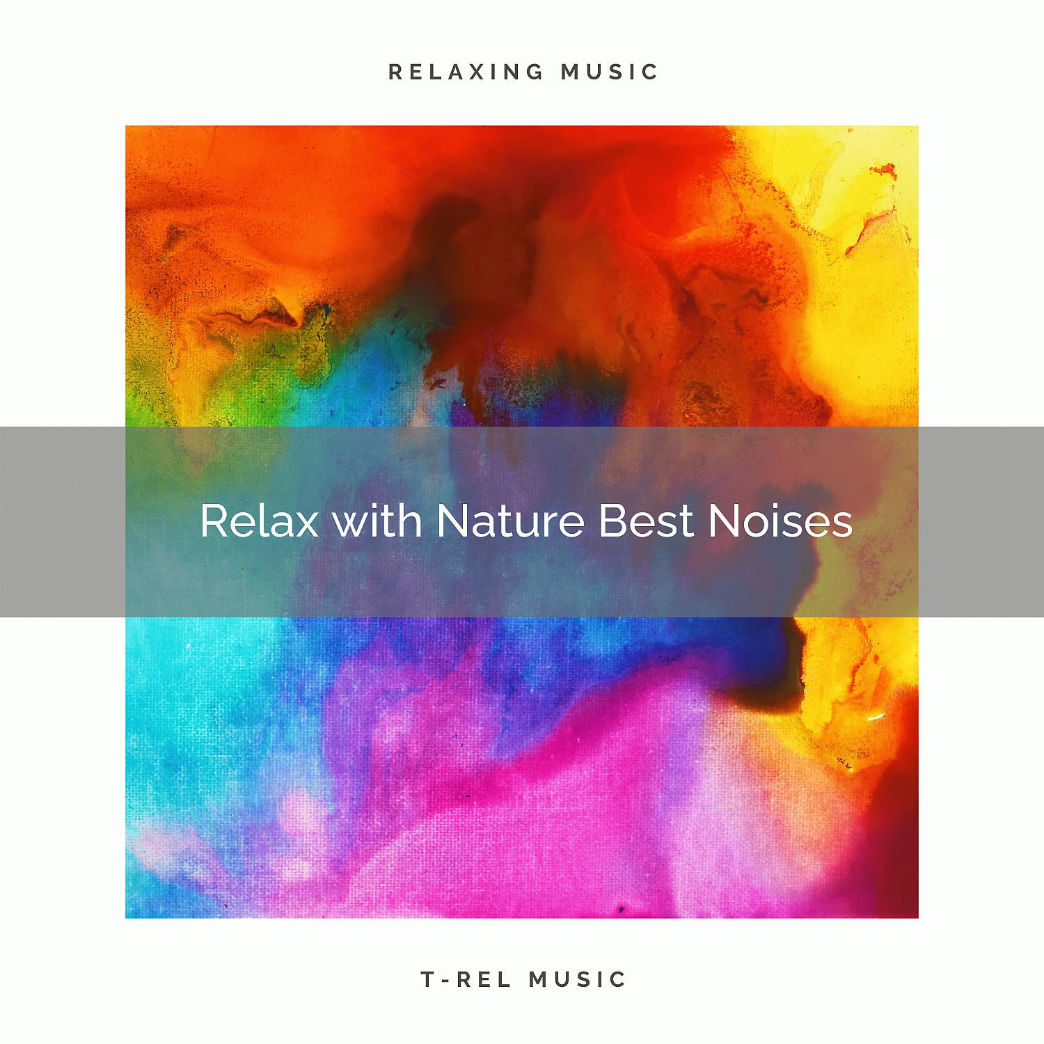 Постер альбома Relax with Nature Best Noises