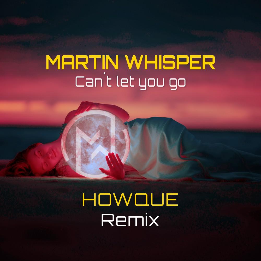 Постер альбома Can't Let You Go (Howque Remix)