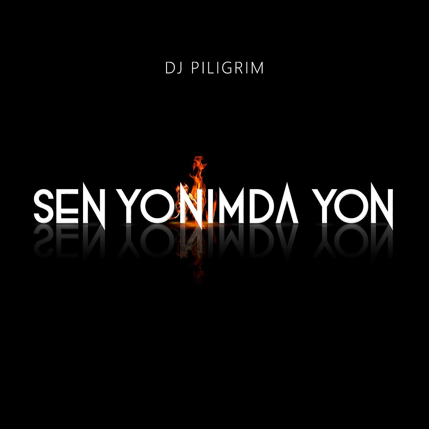 Постер альбома Sen Yonimda Yon