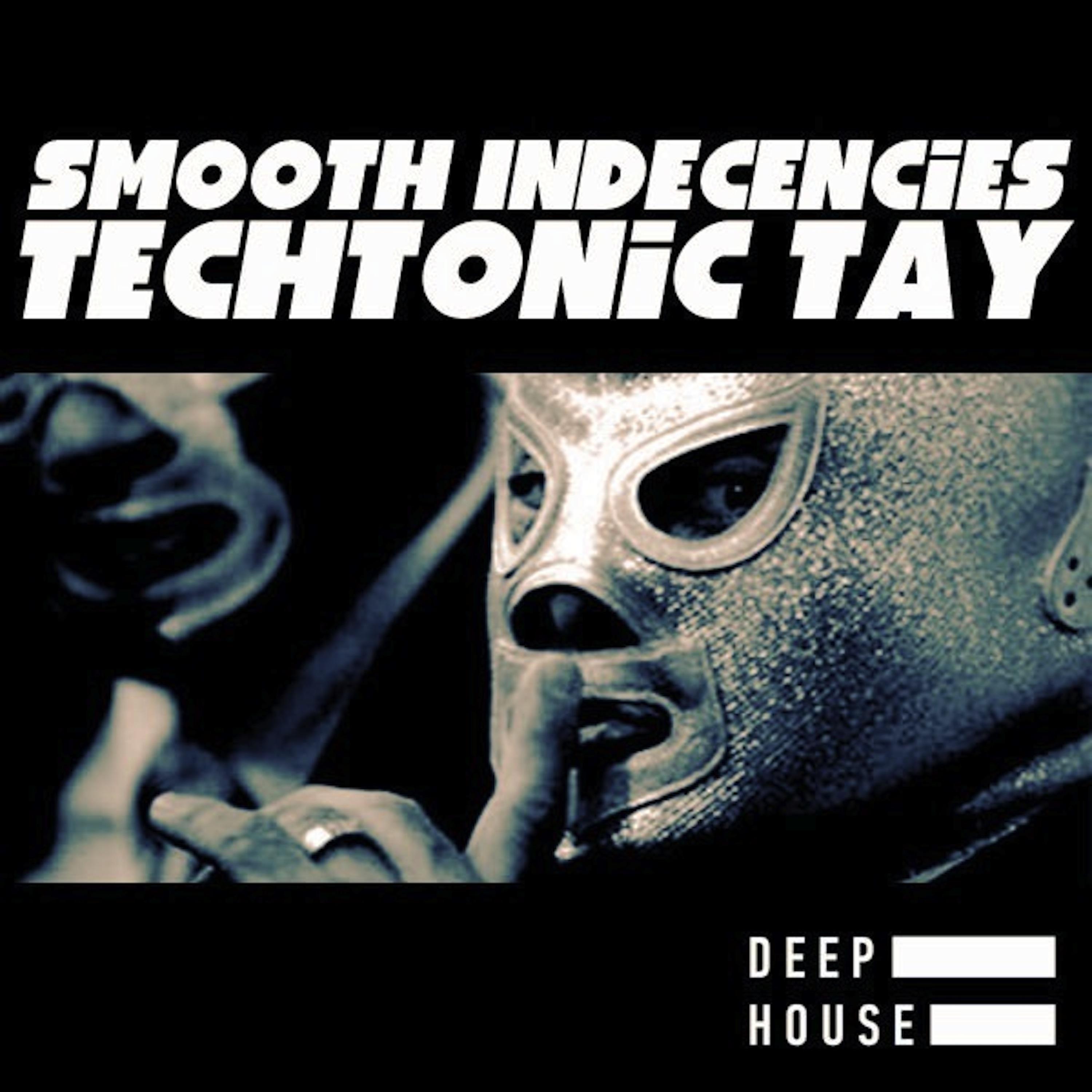 Постер альбома Smooth Indecencies (Spin Worx Deeper Mix)