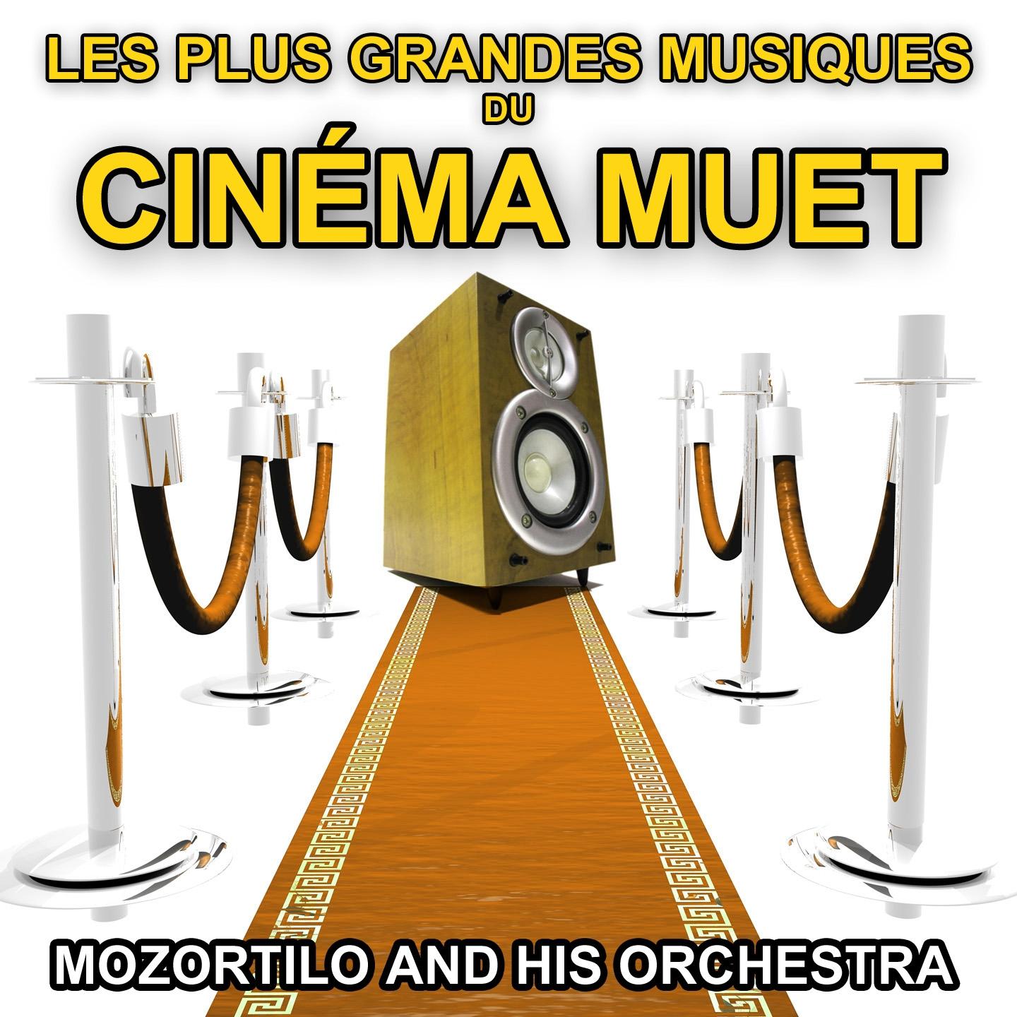 Постер альбома Les plus grandes musiques du cinéma muet