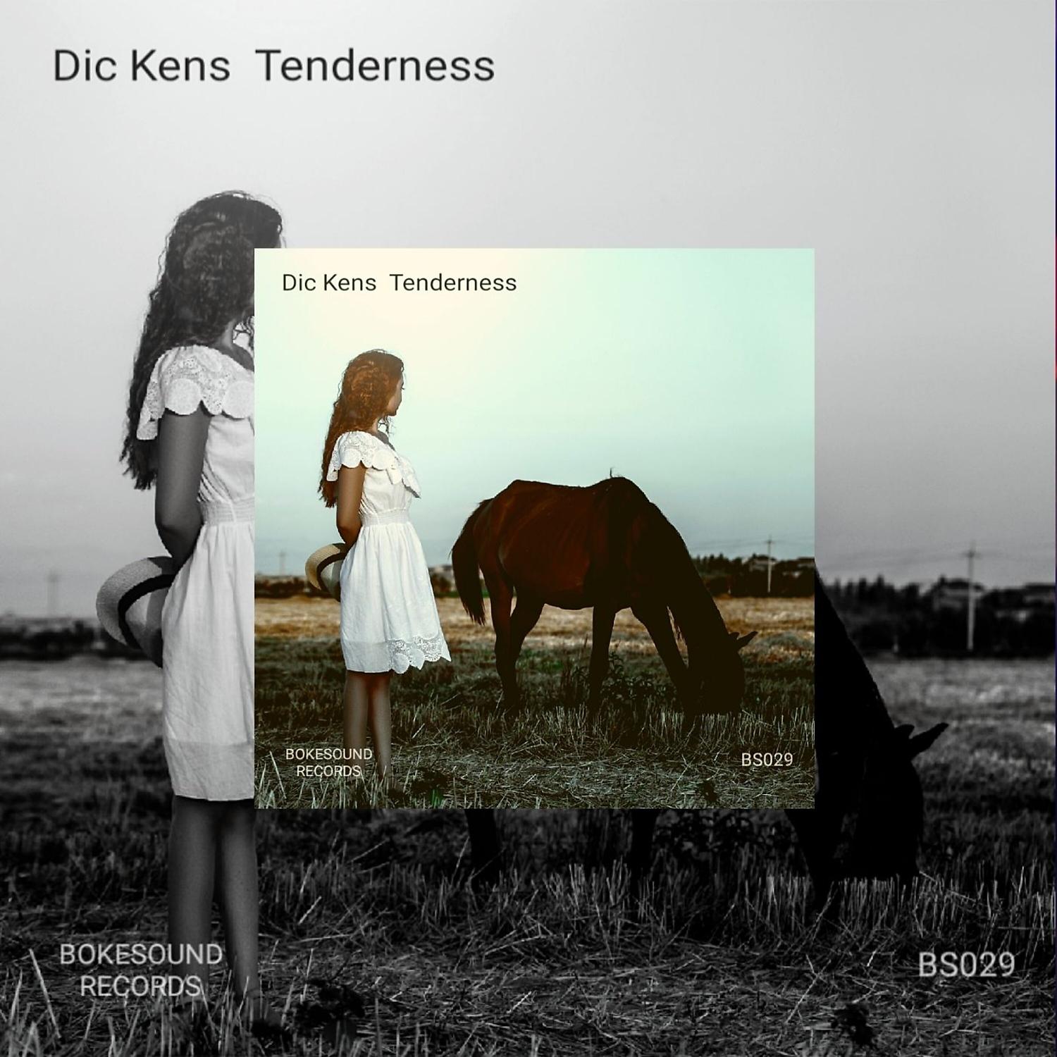 Постер альбома Tenderness