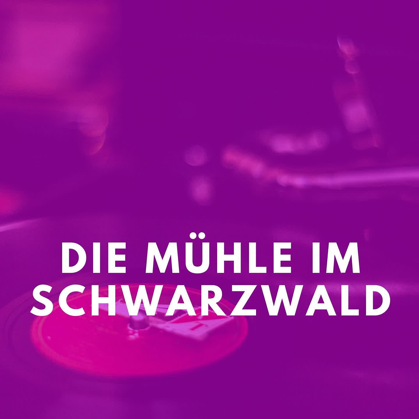 Постер альбома Die Mühle im Schwarzwald