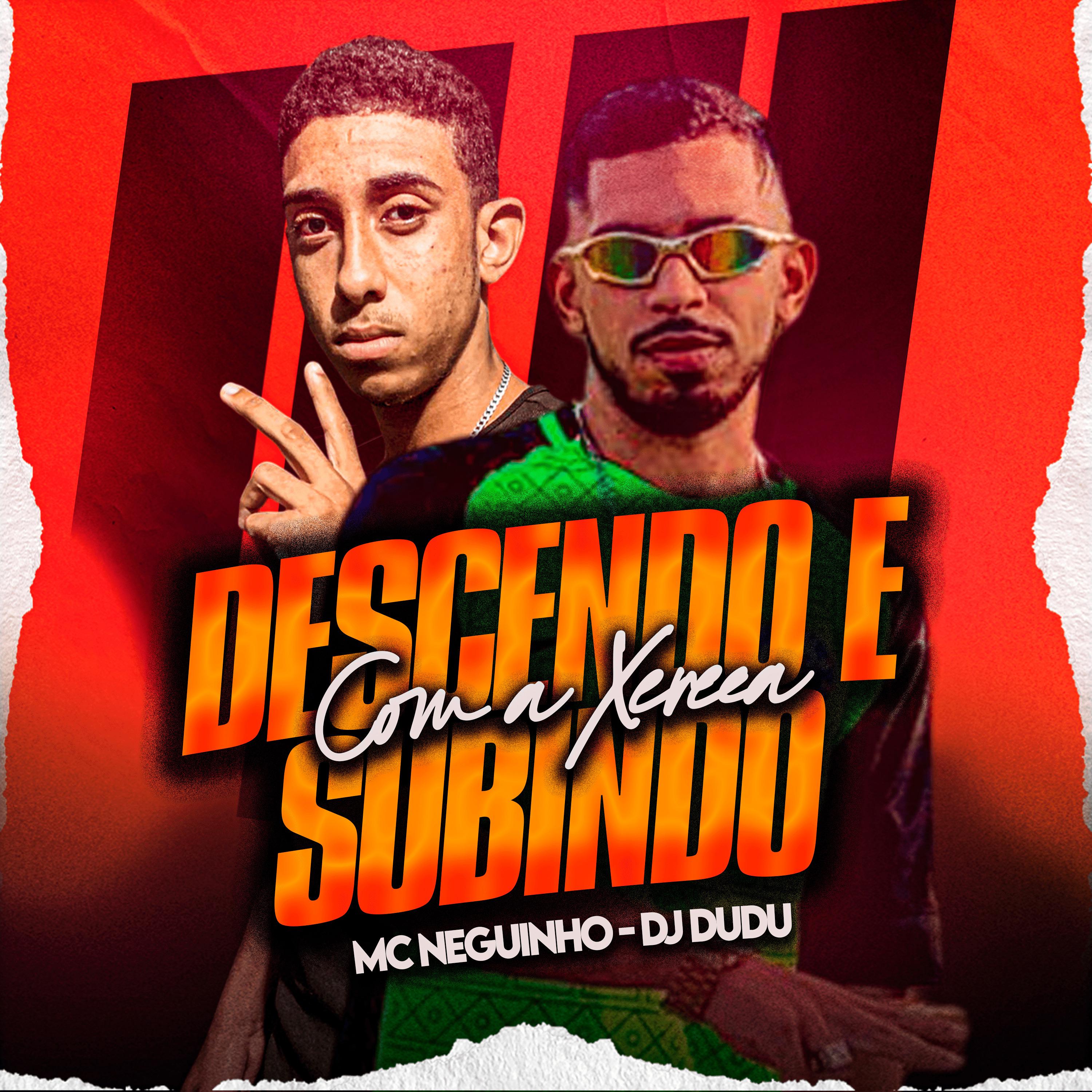 Постер альбома Com a Xereca Descendo e Subindo