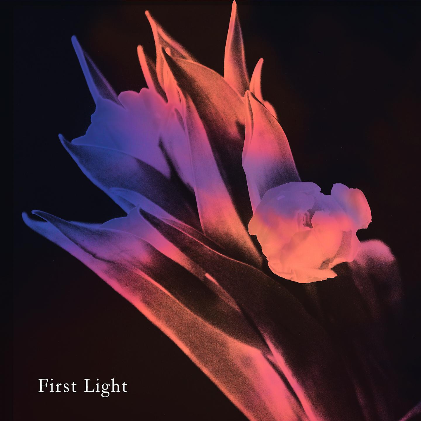 Постер альбома first light