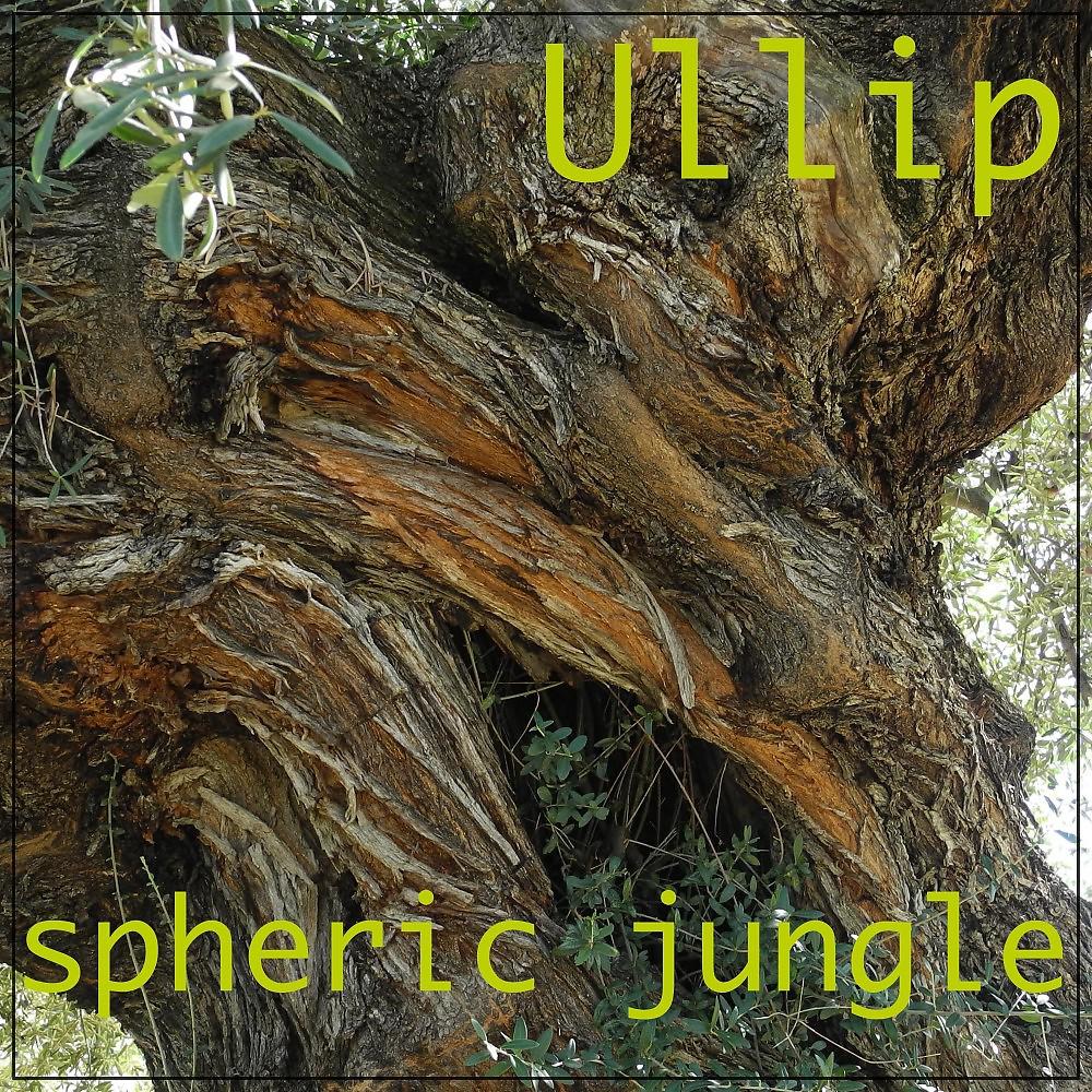 Постер альбома Spheric Jungle