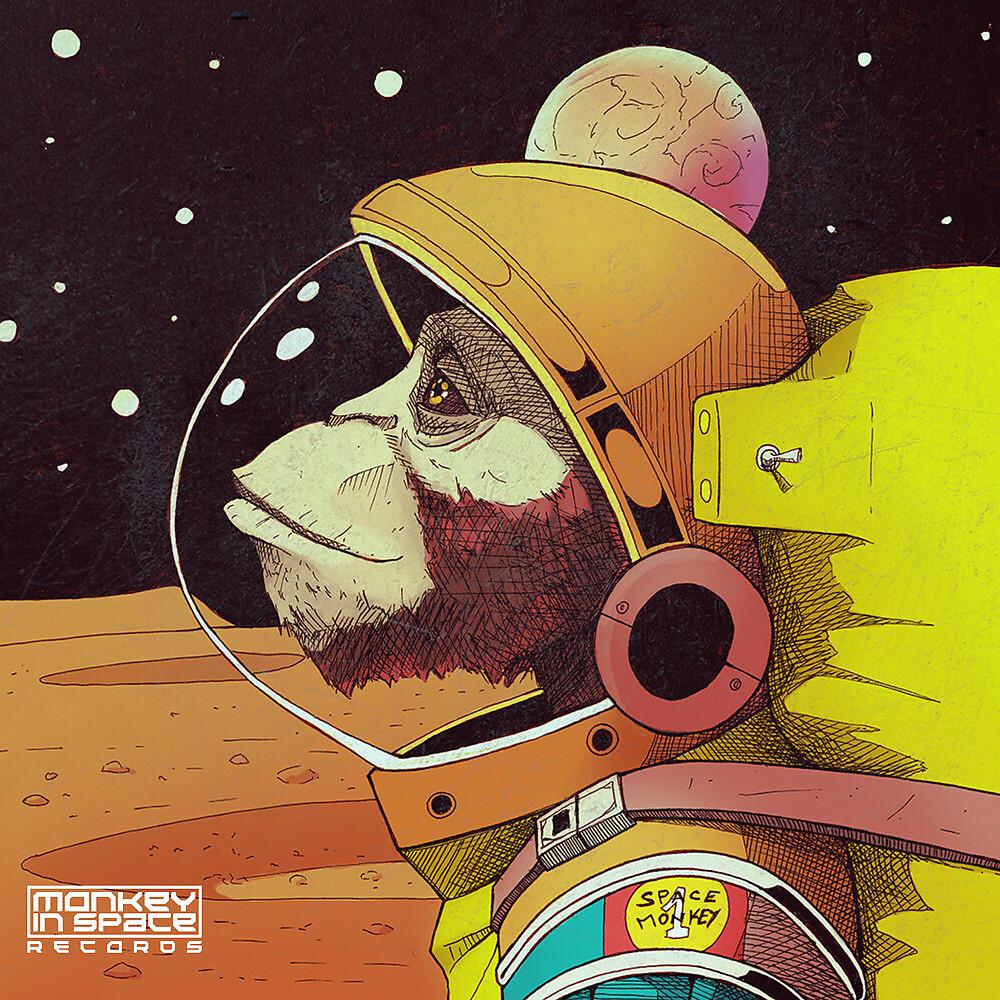 Постер альбома Space Monkey