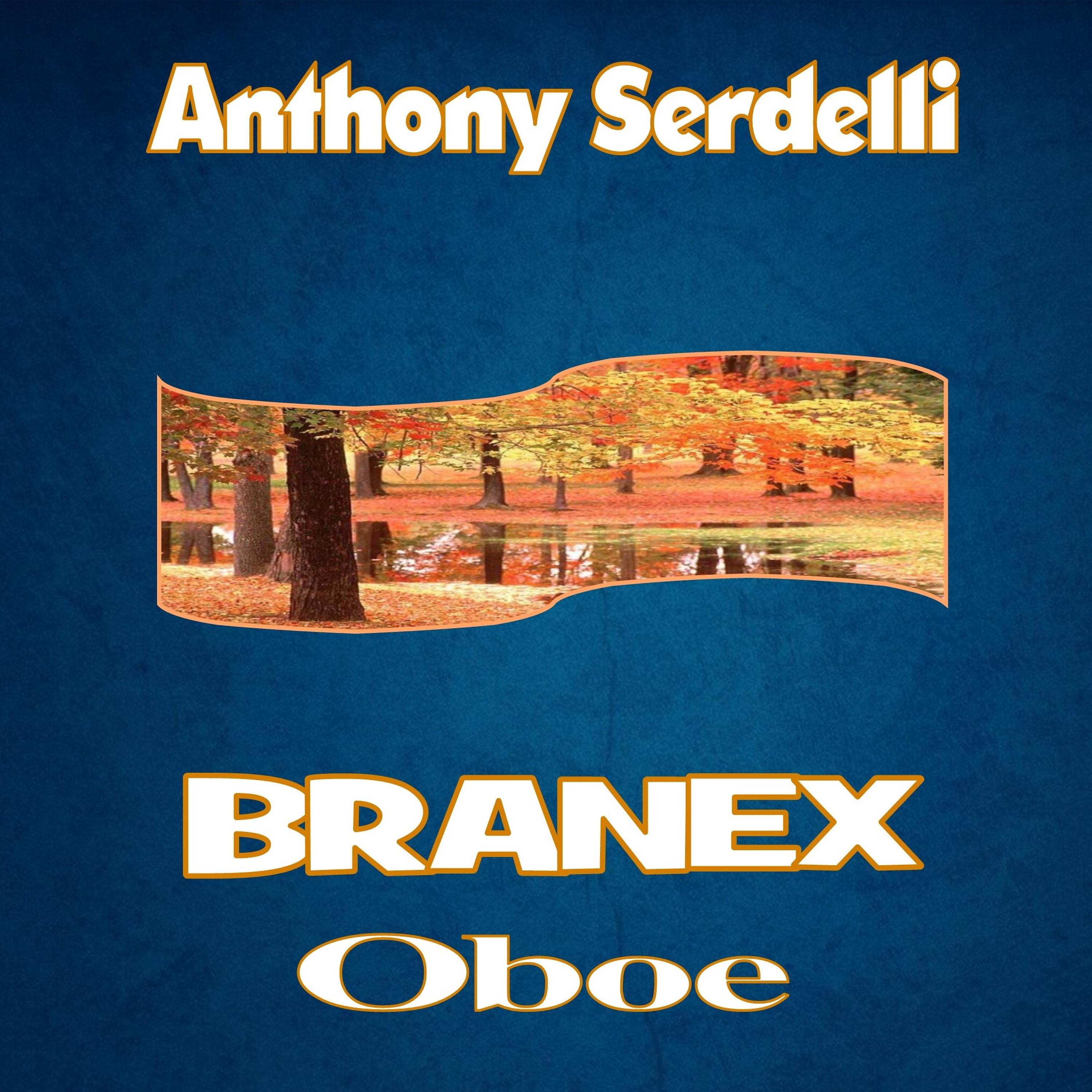 Постер альбома Branex Oboe
