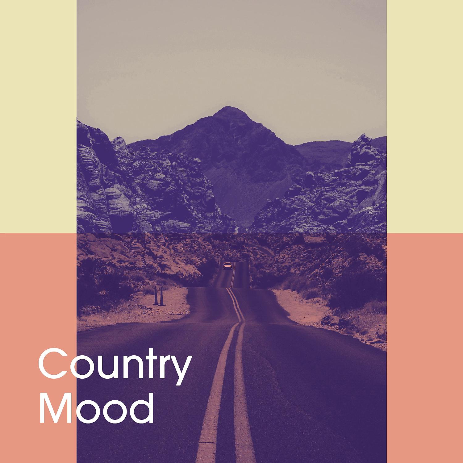 Постер альбома Country Mood