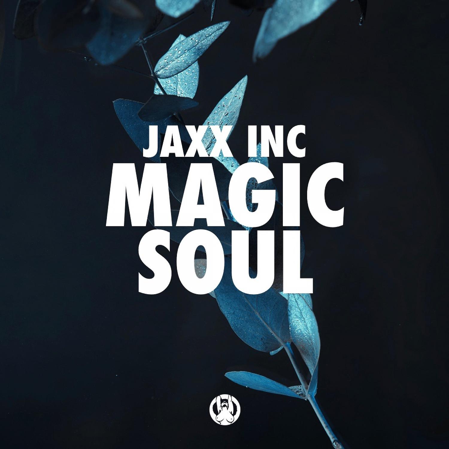 Постер альбома Magic Soul (Original Mix)