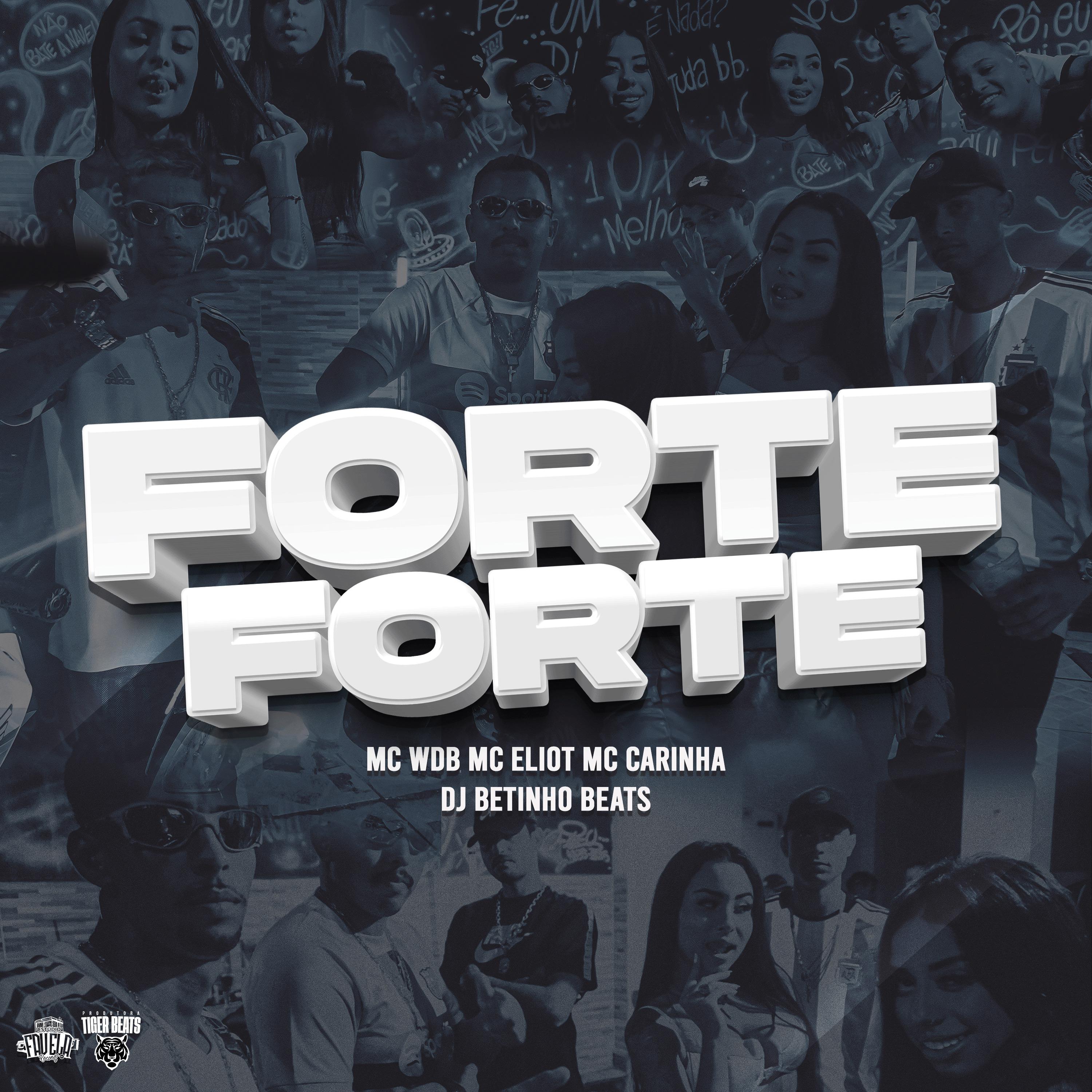 Постер альбома Forte Forte