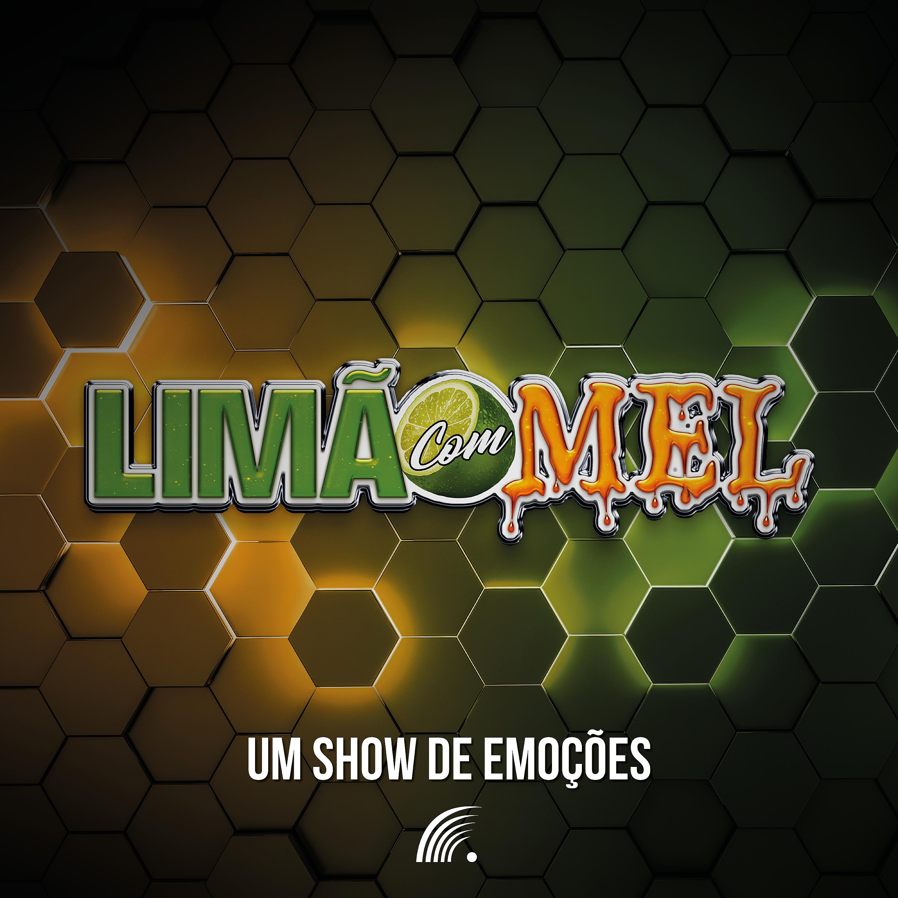 Постер альбома Um Show de Emoções