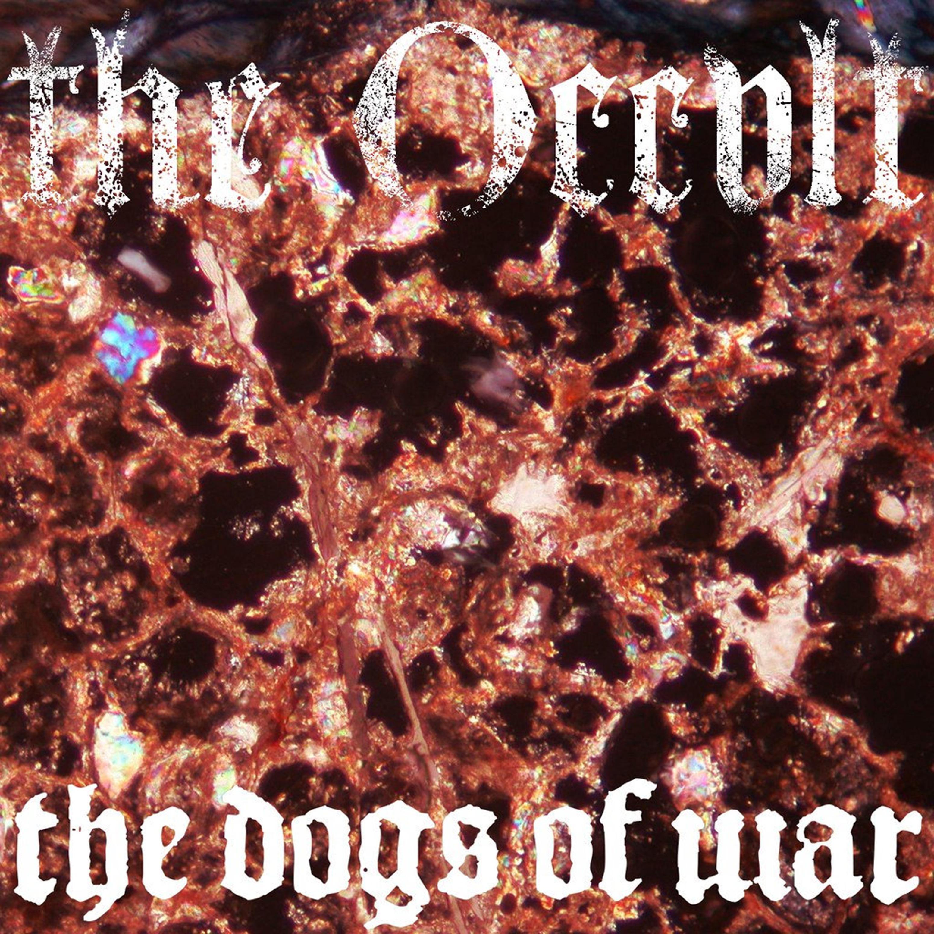 Постер альбома The Dogs Of War