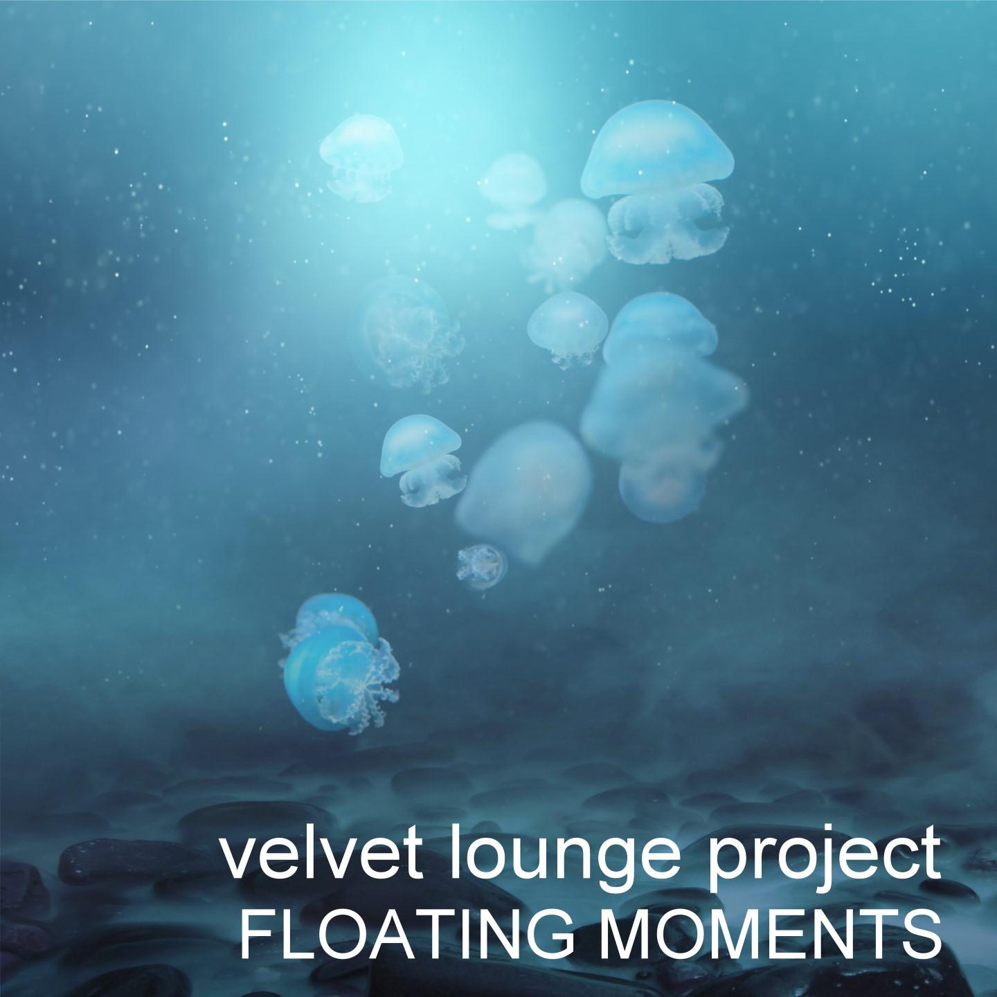 Постер альбома Floating Moments