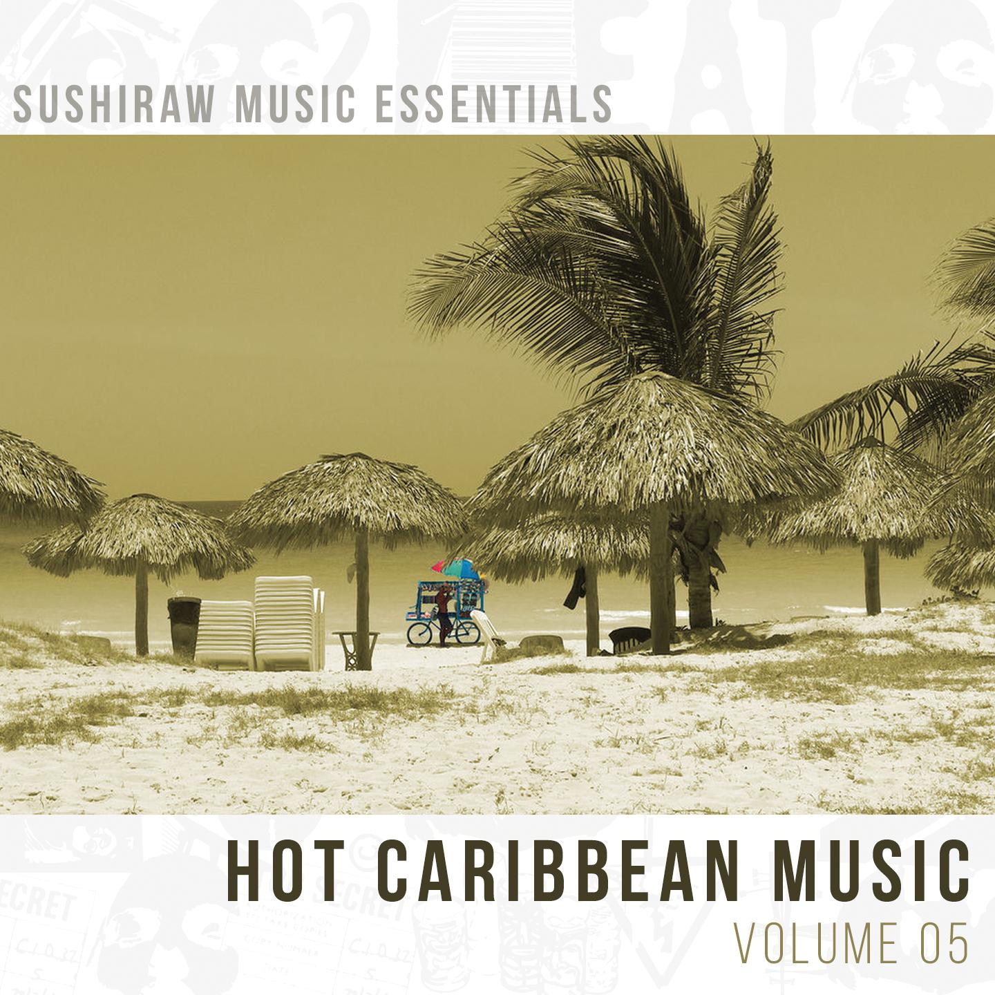 Постер альбома Hot Caribbean Music, Vol. 5