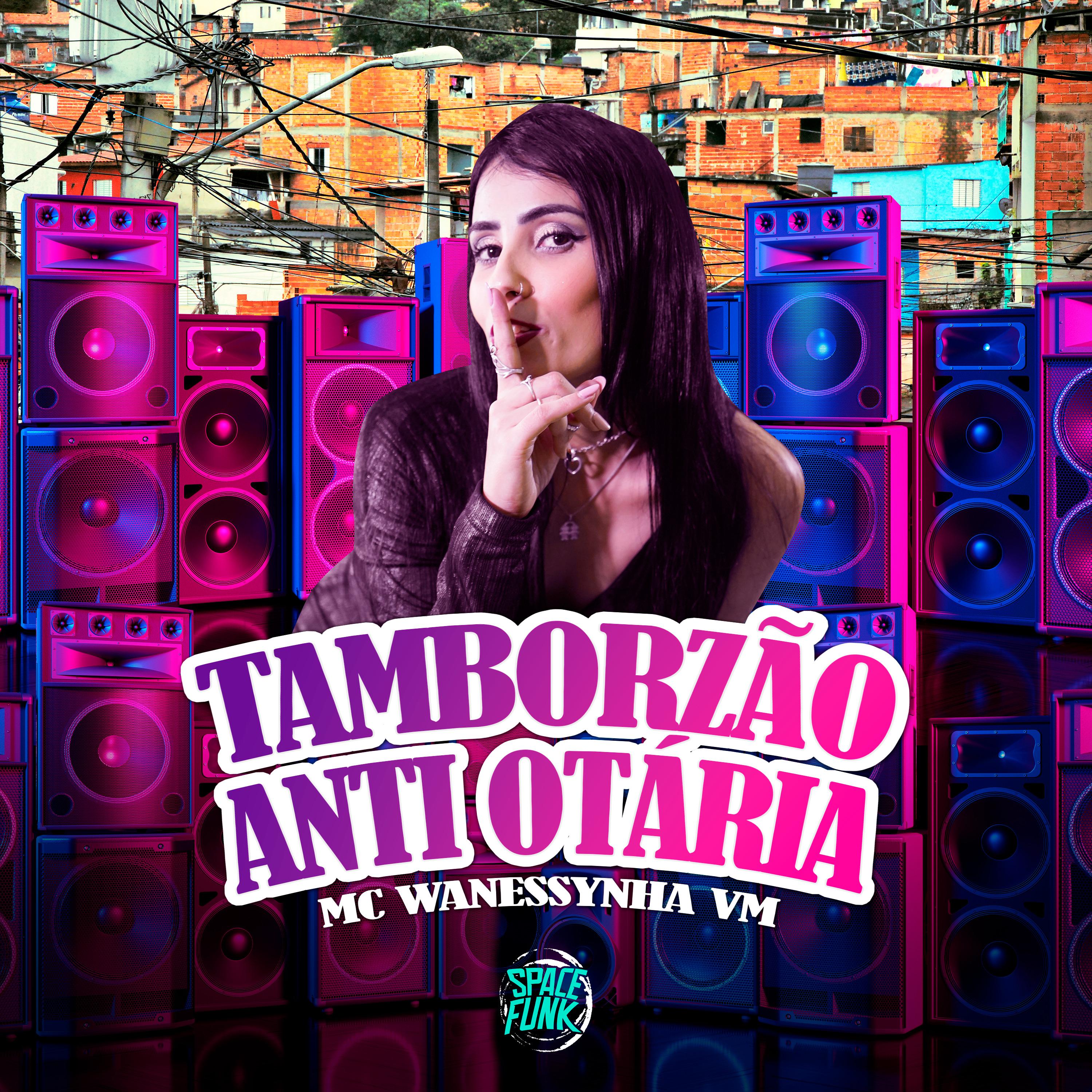 Постер альбома Tamborzão Anti Otária