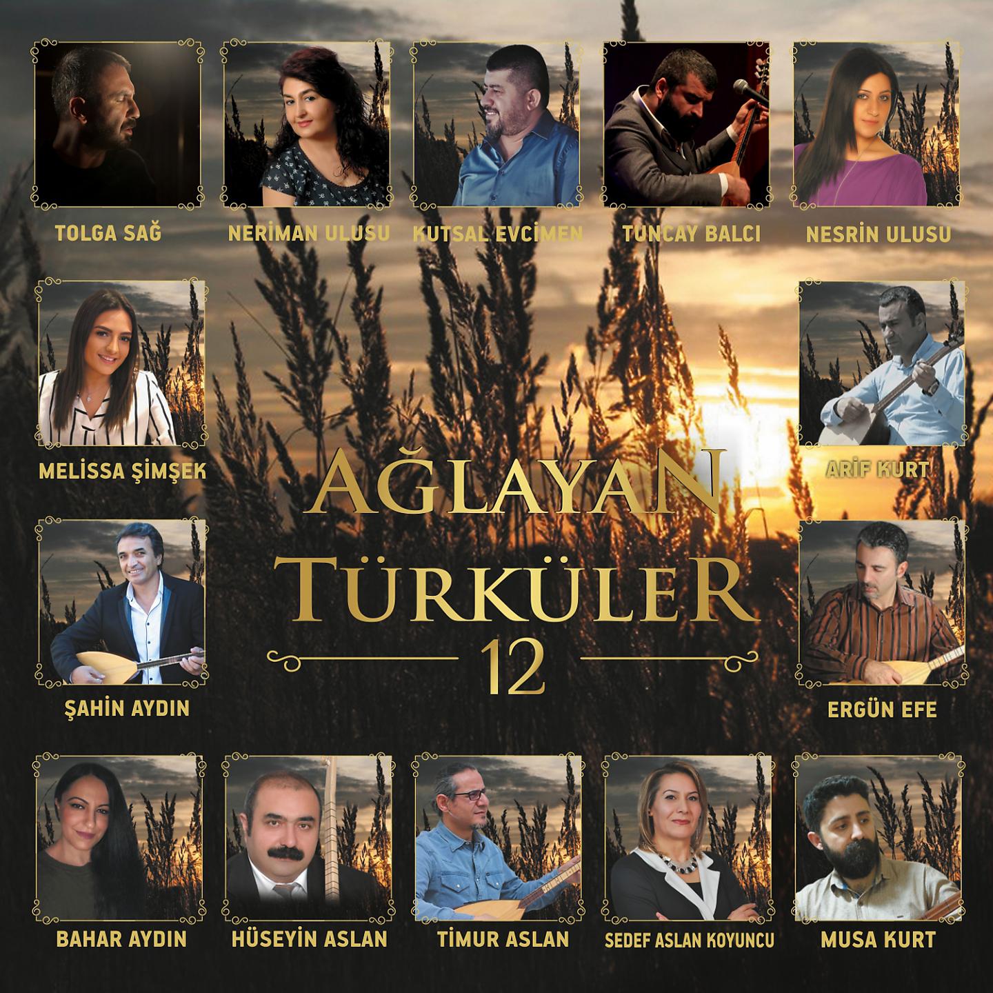 Постер альбома Ağlayan Türküler, Vol. 12