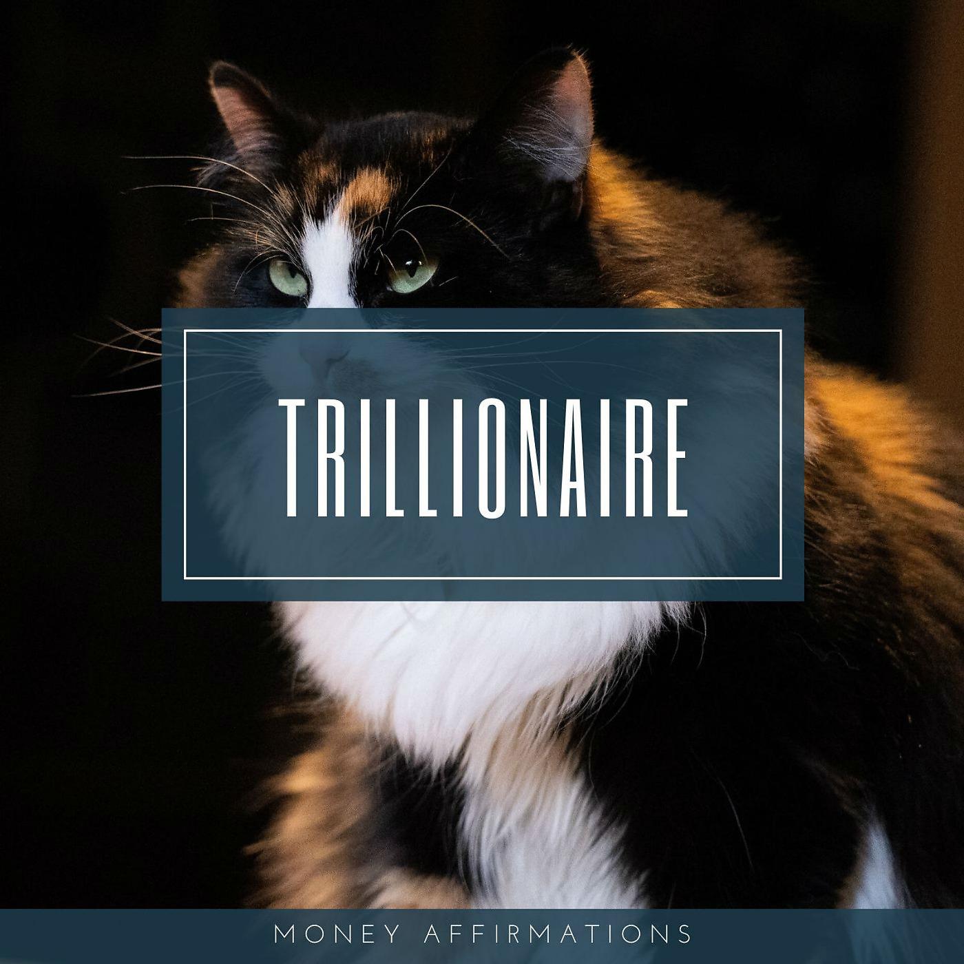 Постер альбома Trillionaire Money Affirmations