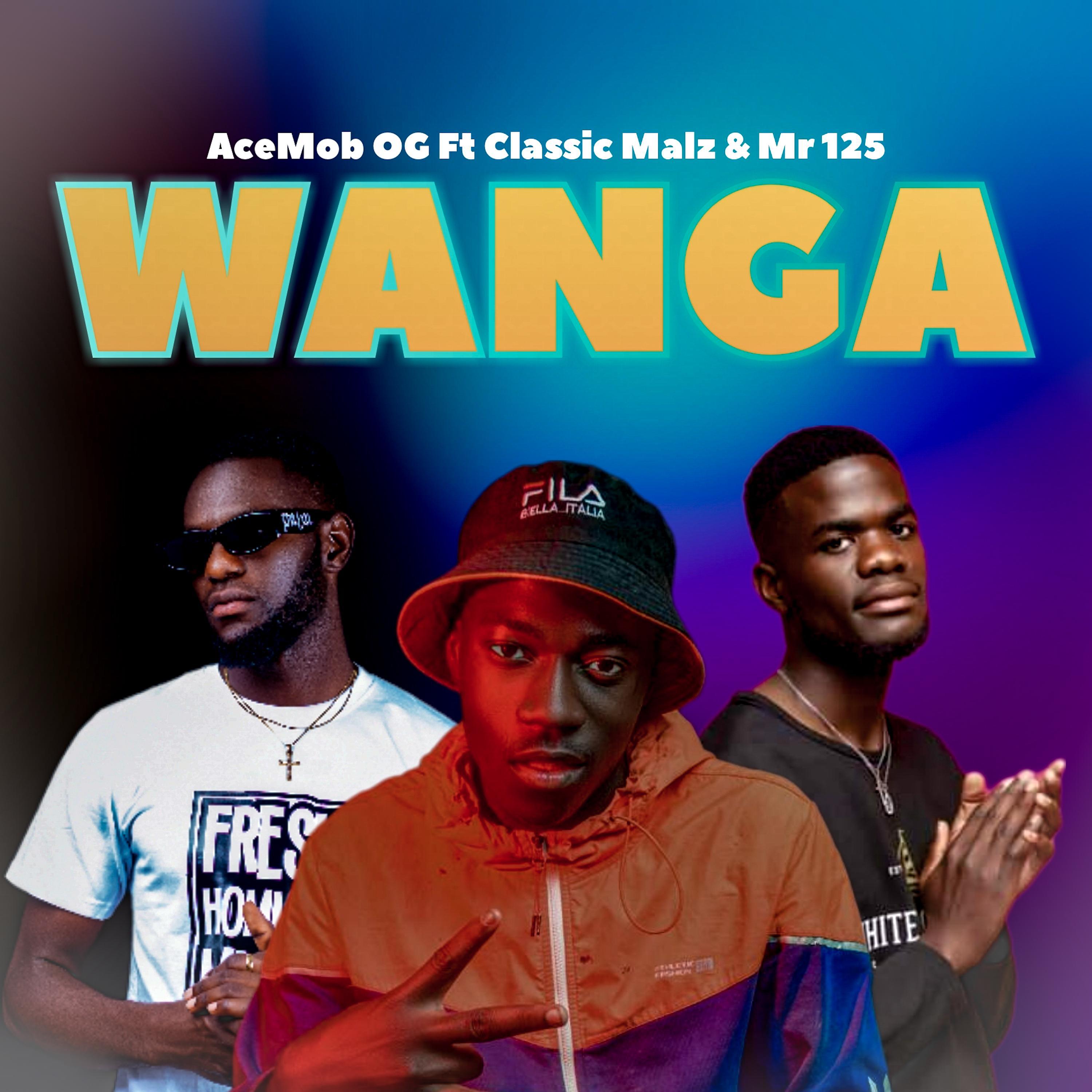 Постер альбома Wanga (feat. Mr 125 & Classic Malz)