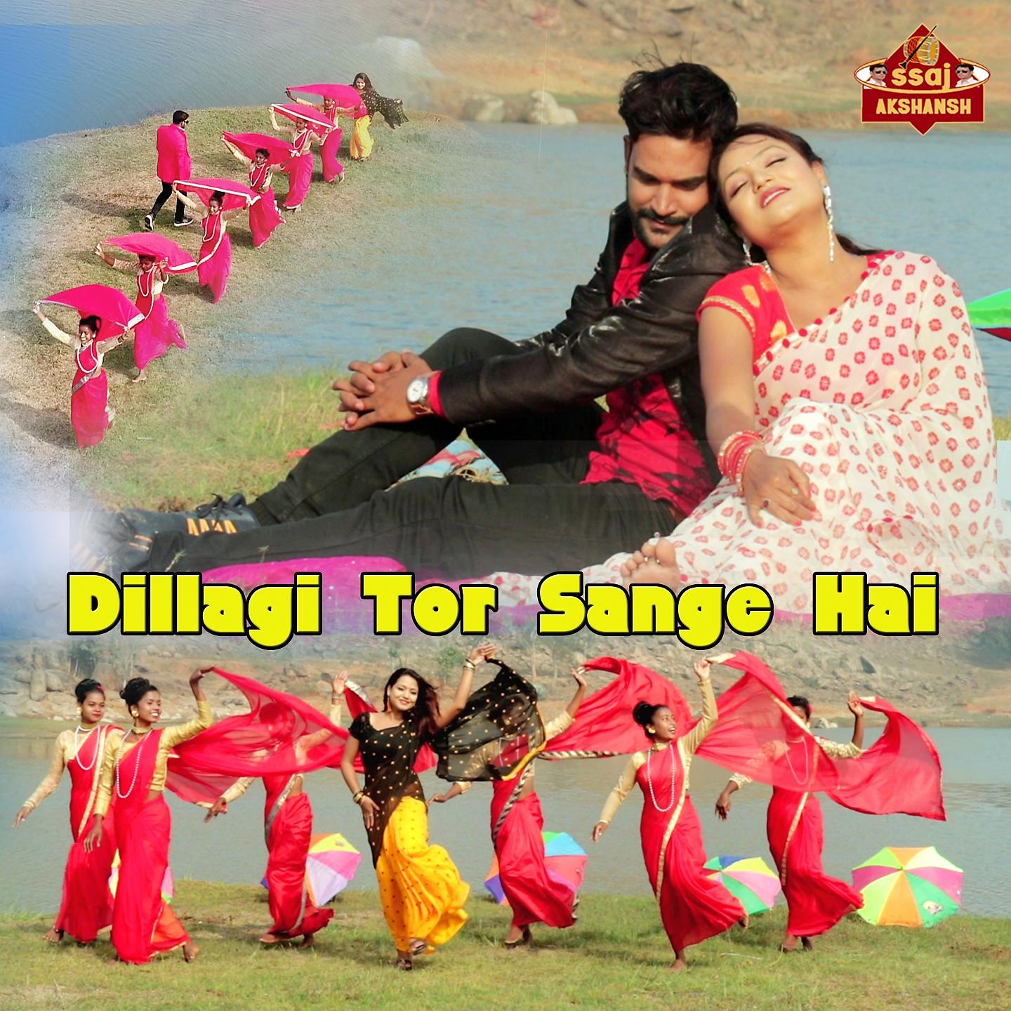 Постер альбома Dillagi Tor Sange Hai