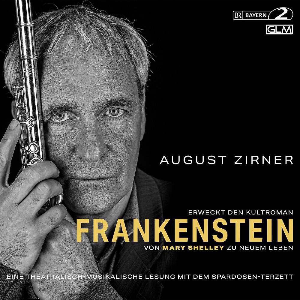 Постер альбома Frankenstein (Eine theatralisch-musikalische Lesung)