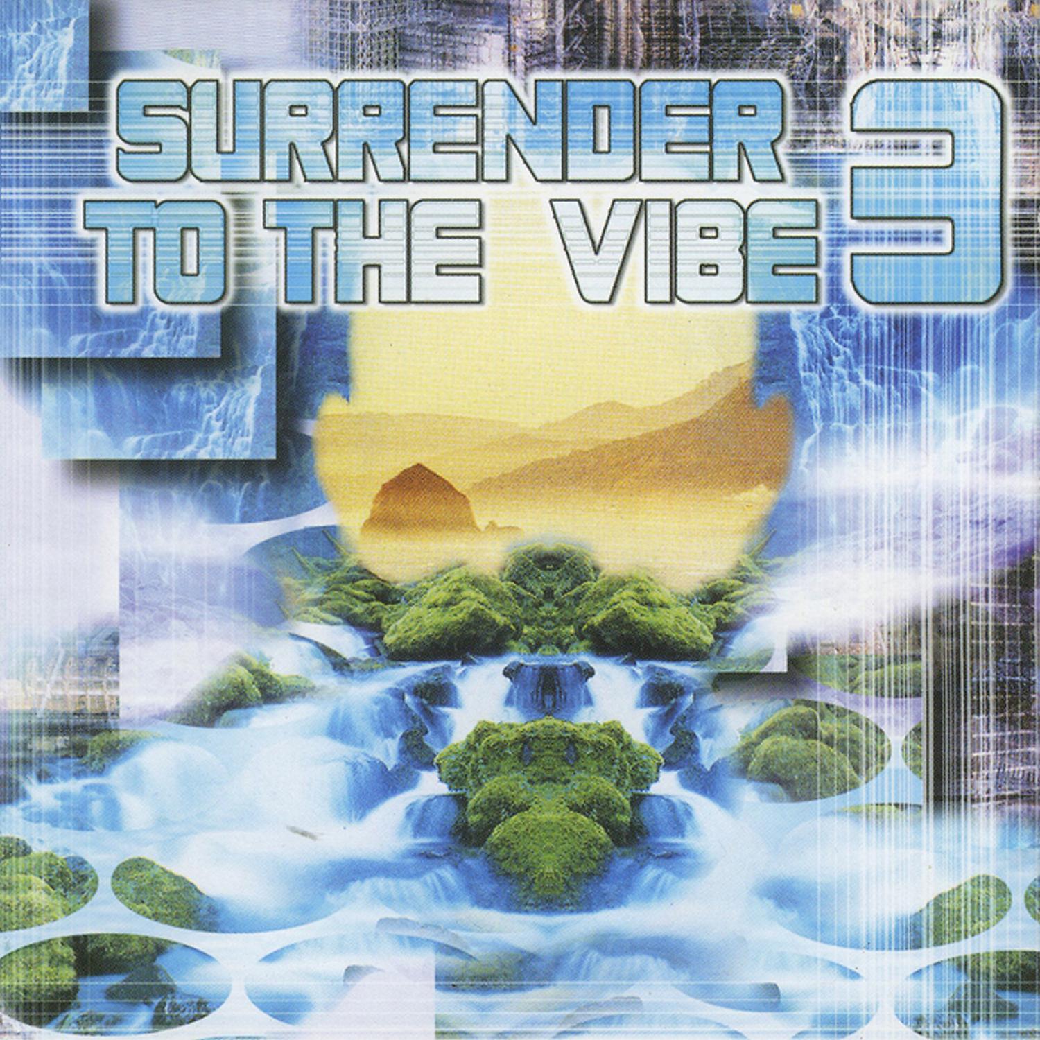 Постер альбома Surrender to the Vibe 3
