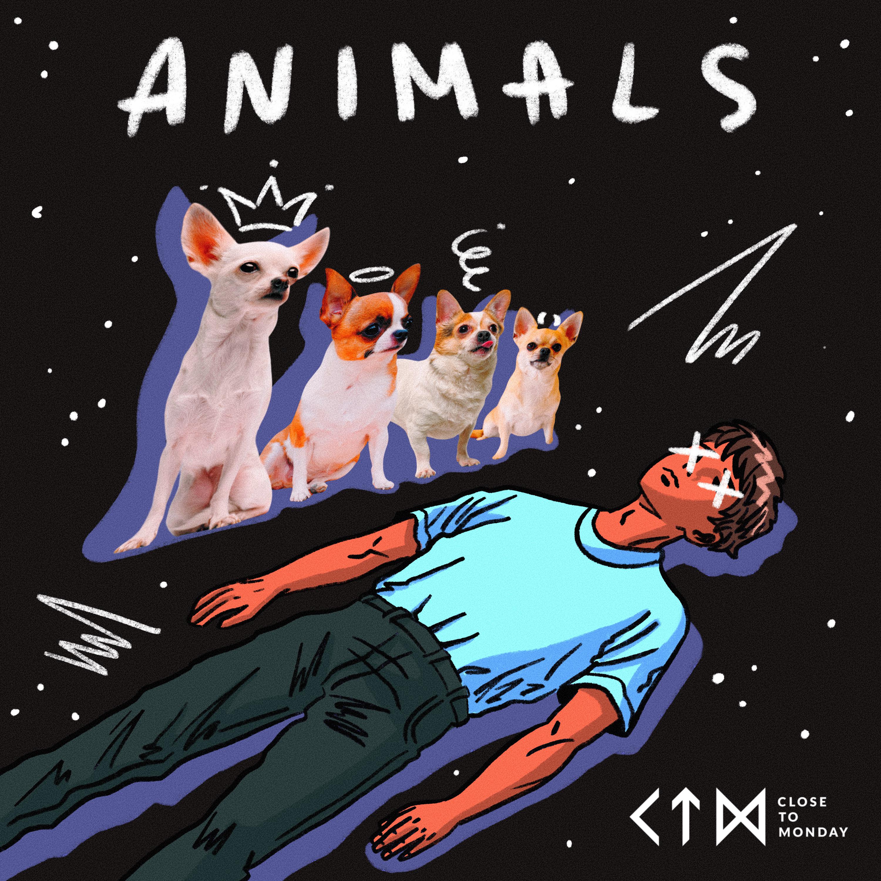 Постер альбома Animals