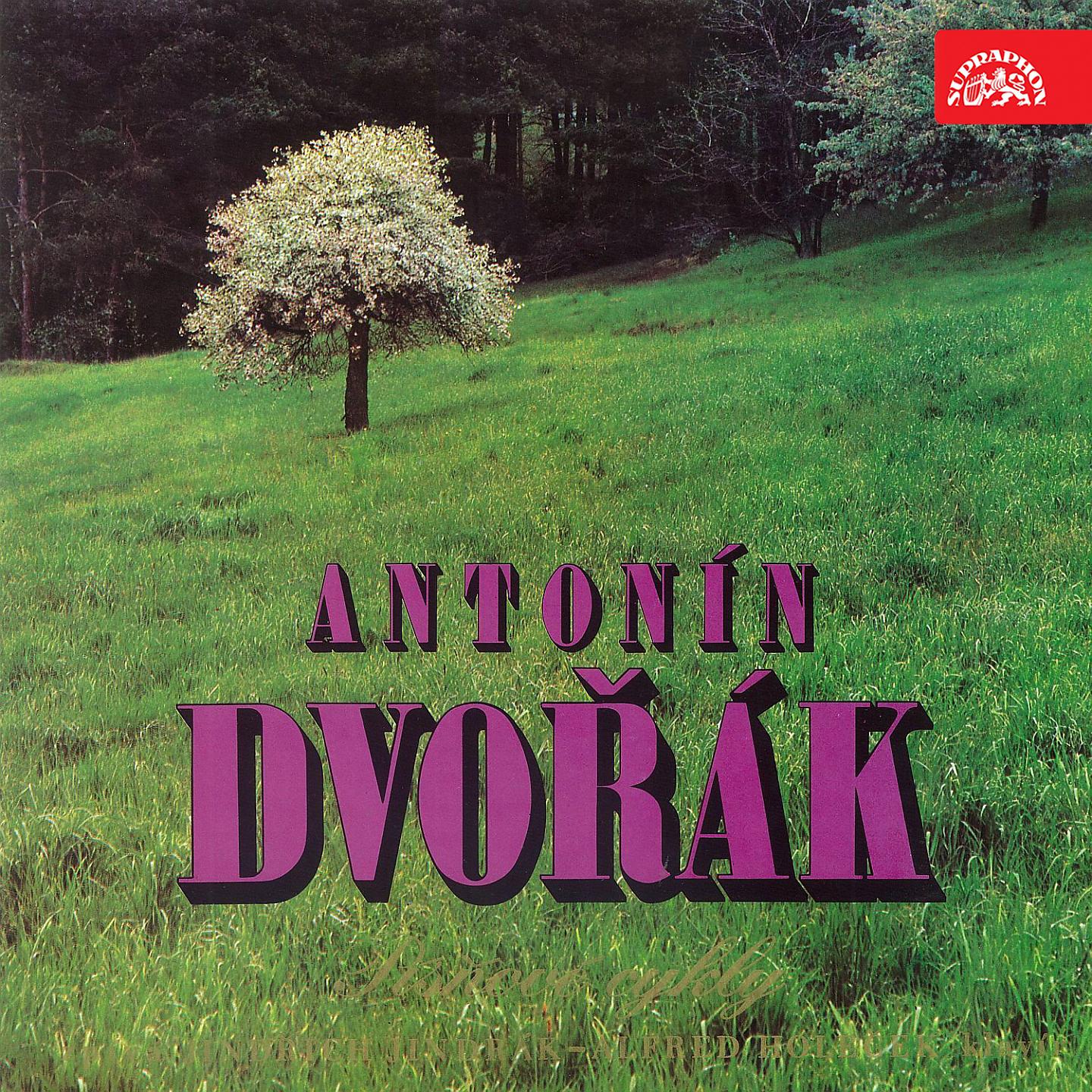 Постер альбома Antonín Dvořák Compositions