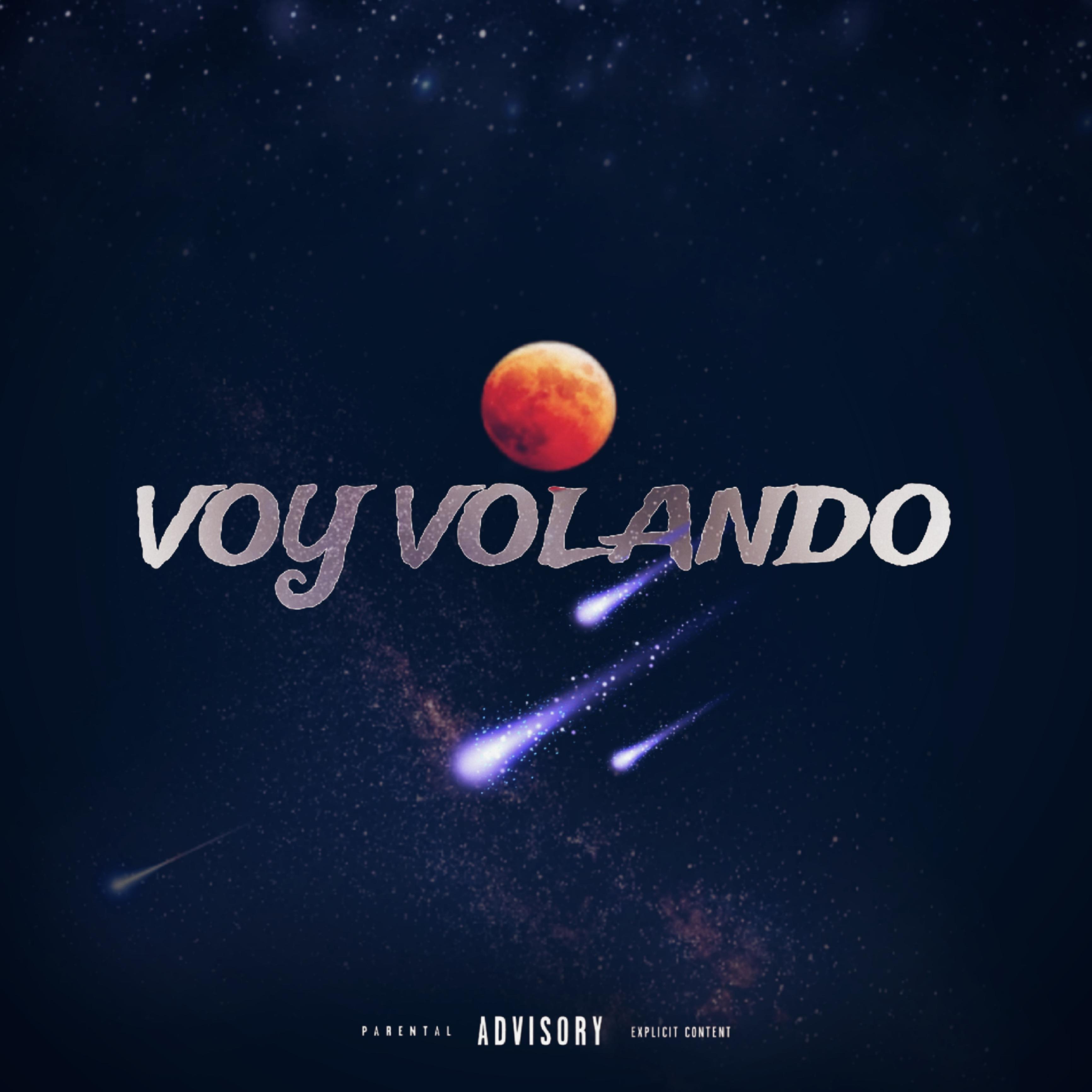Постер альбома Voy Volando (feat. Dnx 089)