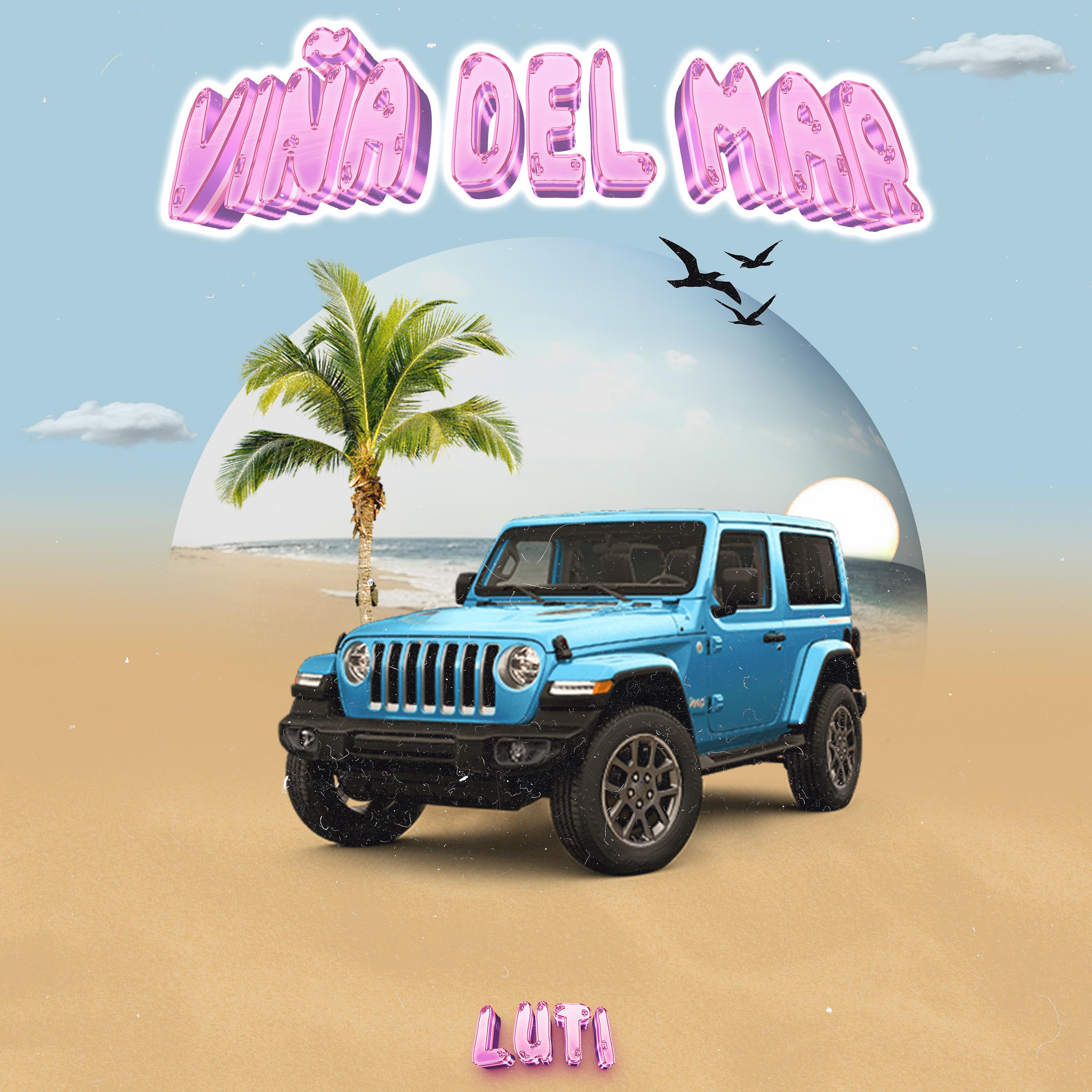 Постер альбома Viña del Mar