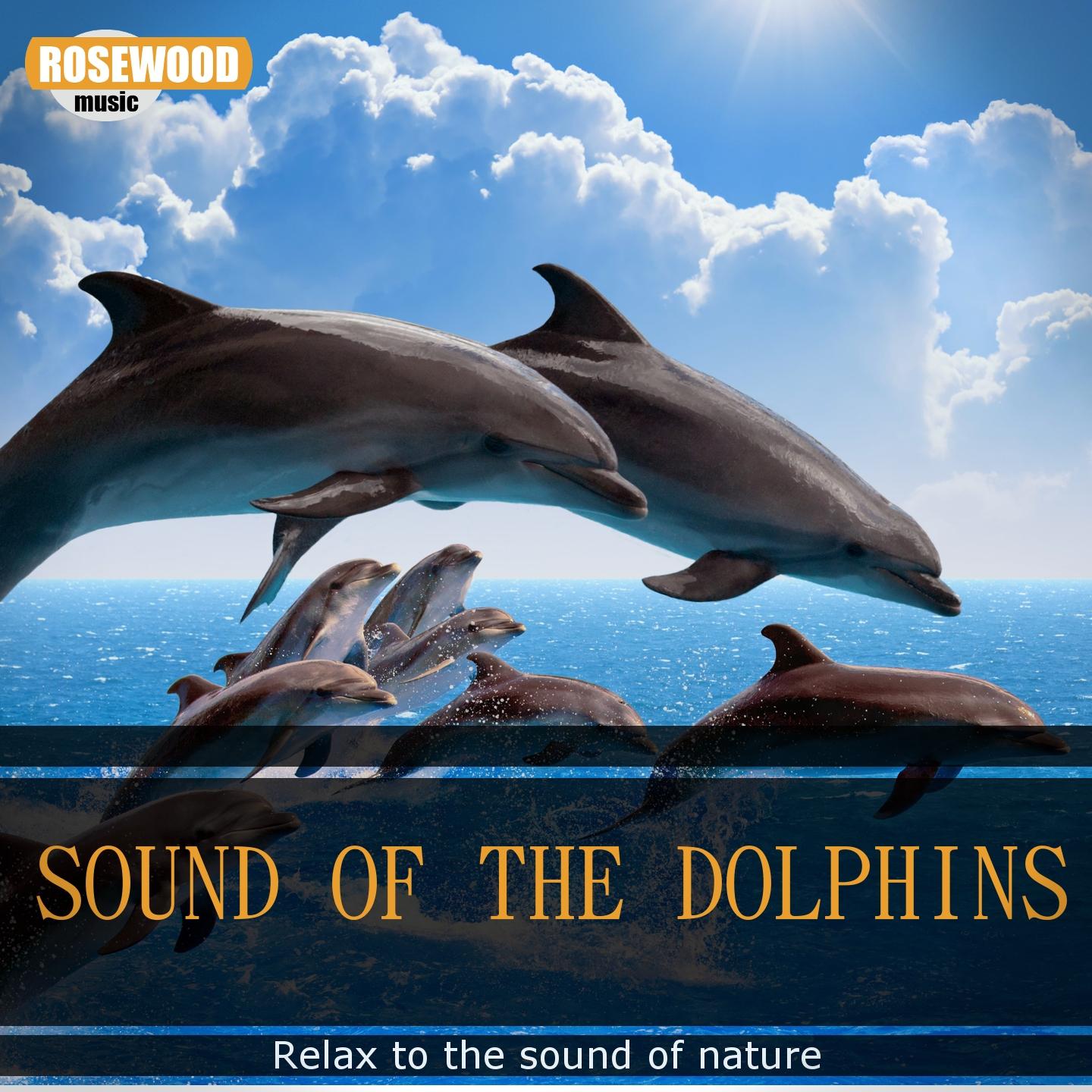 Постер альбома Sound of the Dolphins