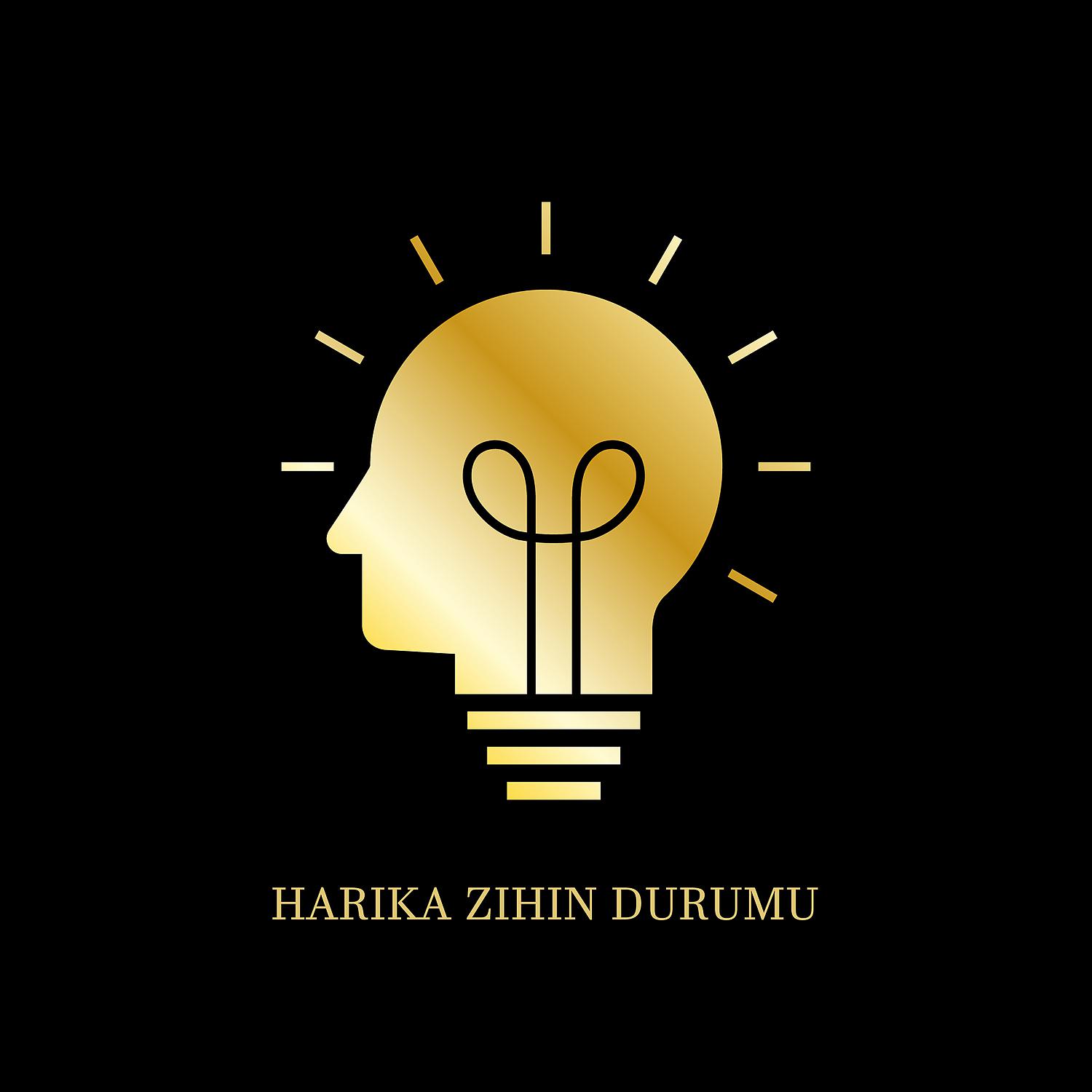 Постер альбома Harika zihin Durumu: Farkındalık, Derin Odak, Etkili Düşünme