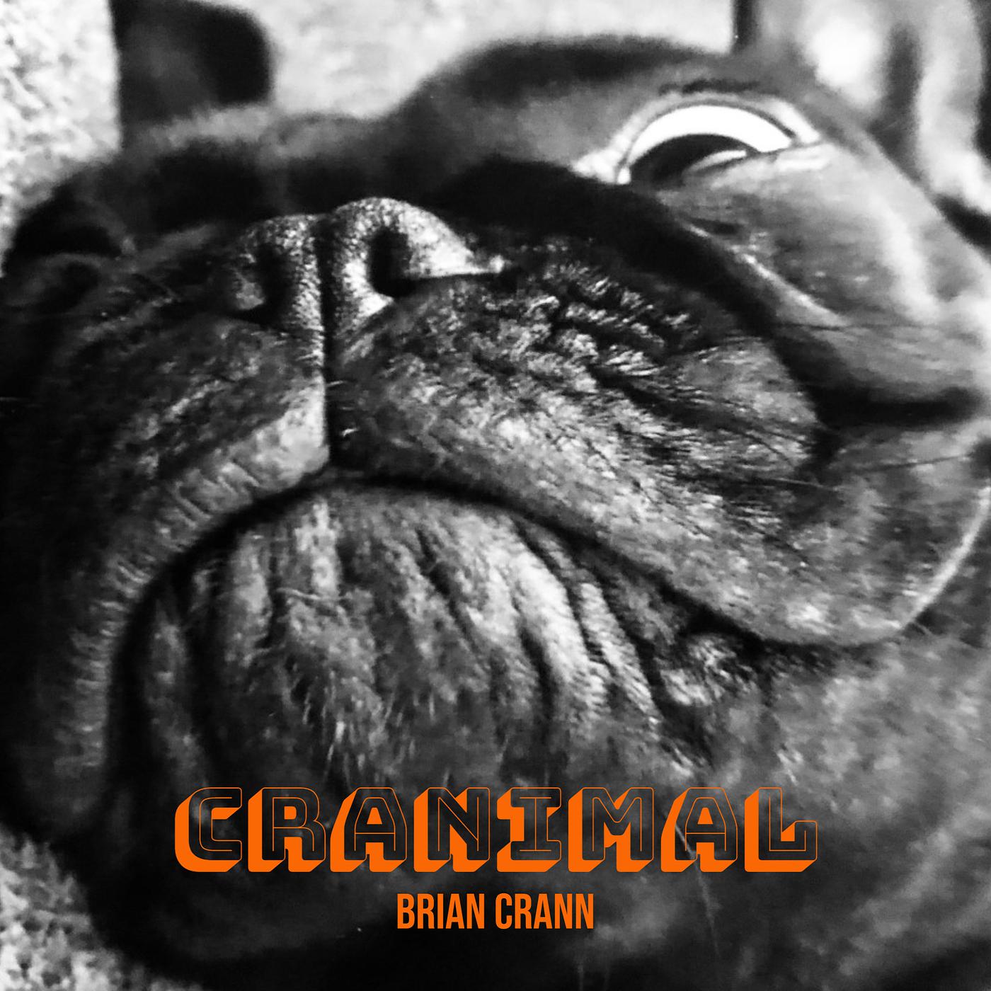 Постер альбома Cranimal