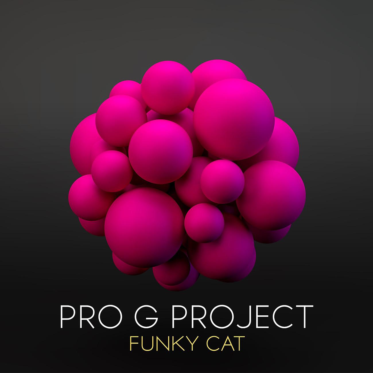 Постер альбома Funky Cat