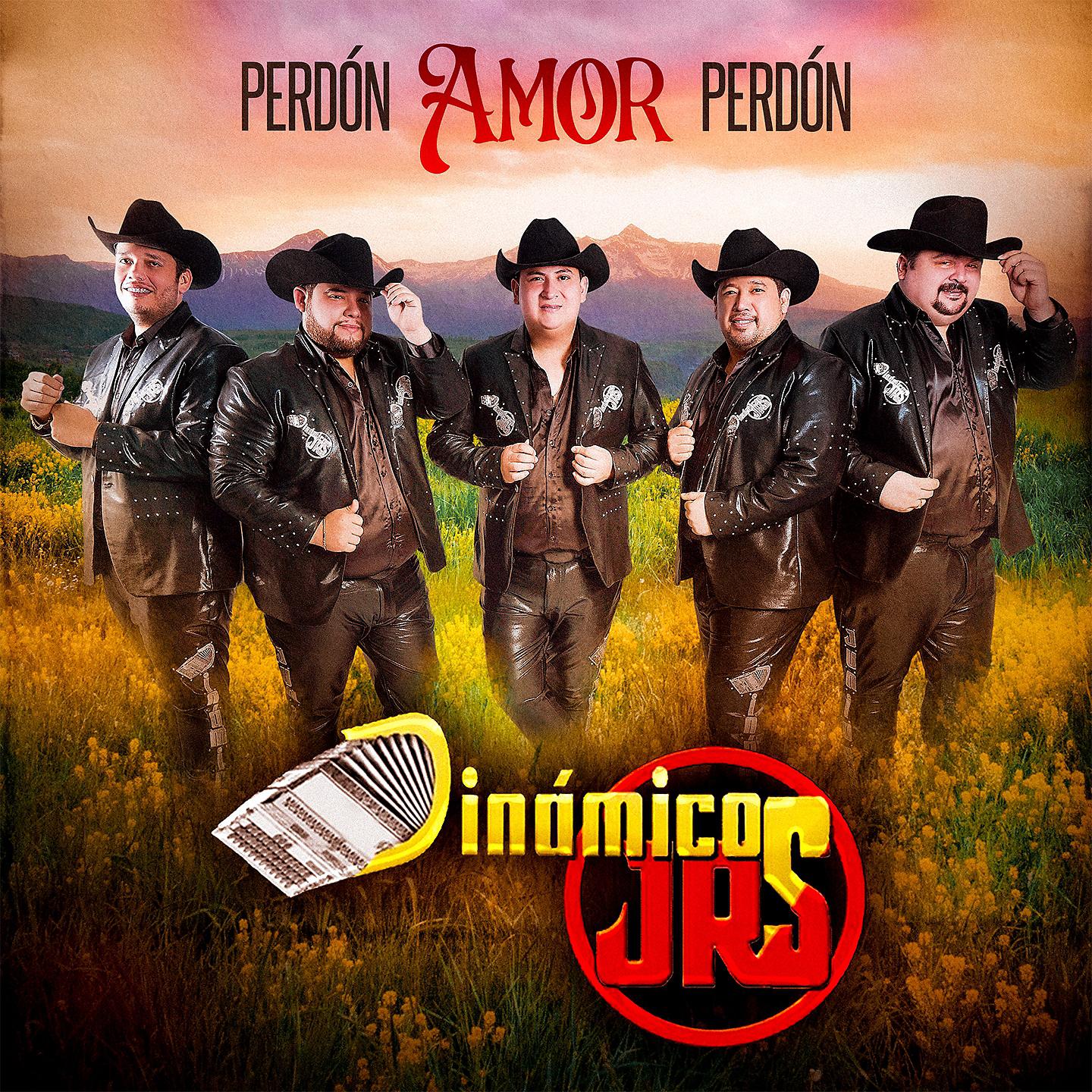 Постер альбома Perdón Amor, Perdón