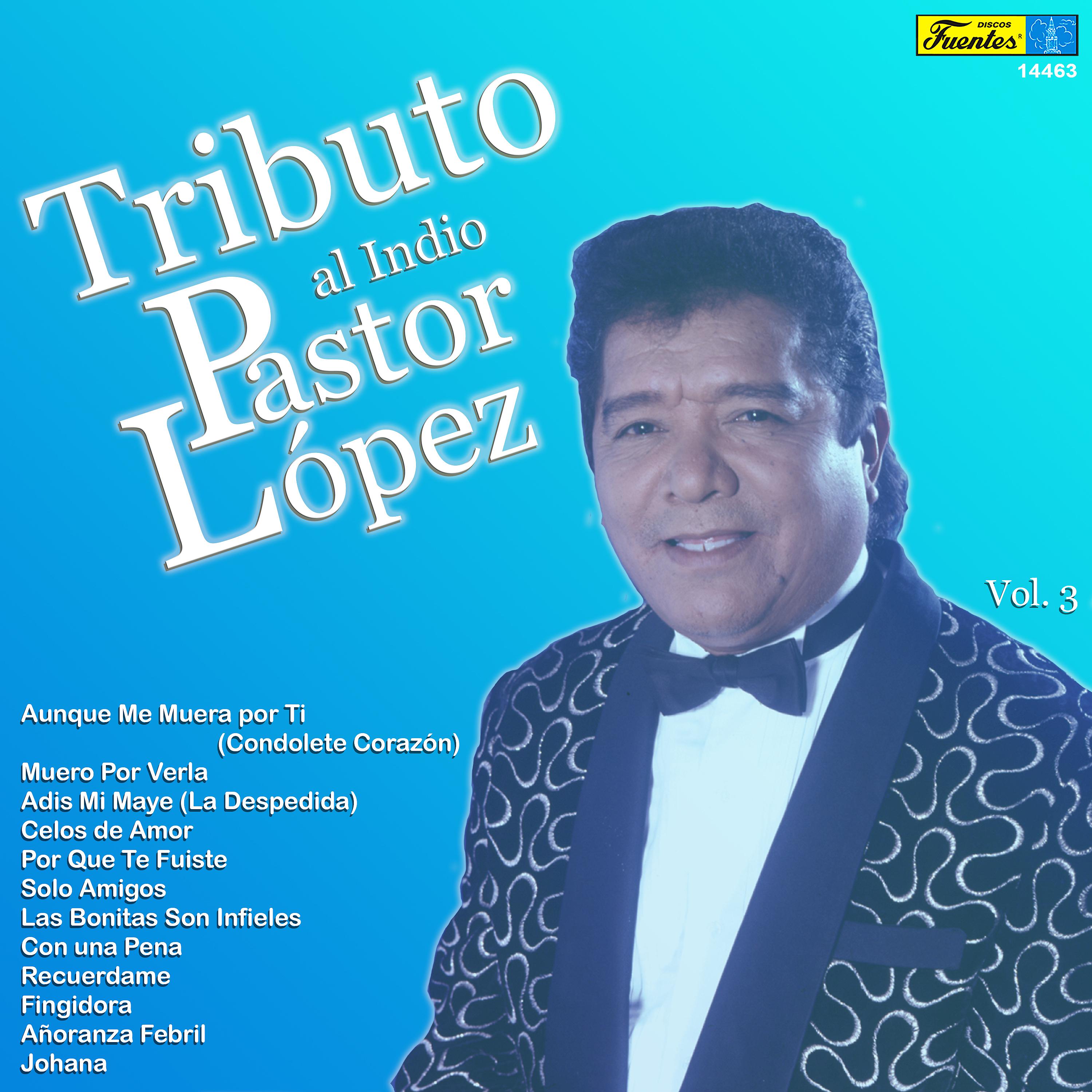 Постер альбома Tributo al Indio Pastor López, Vol. 3