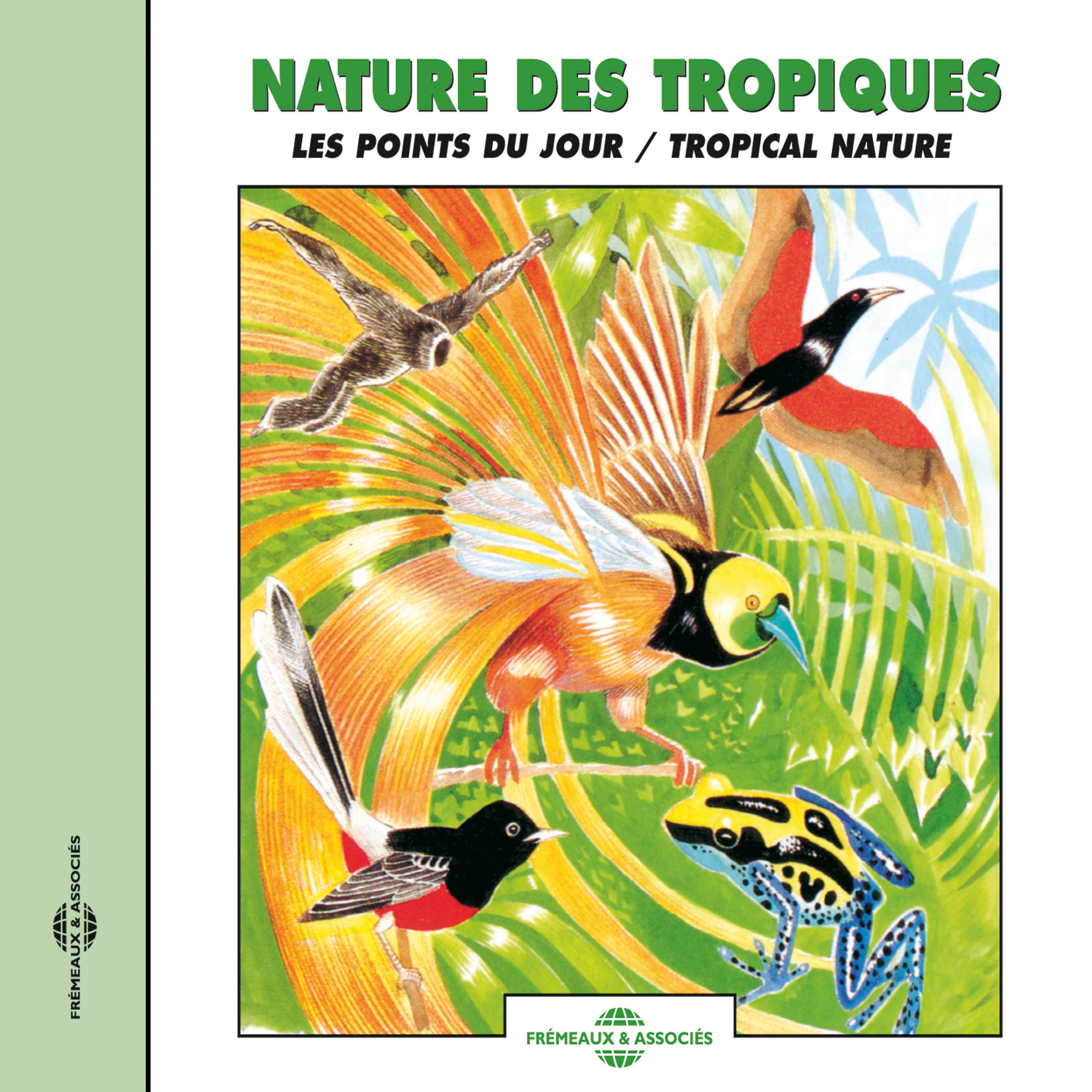 Постер альбома Nature Des Tropiques