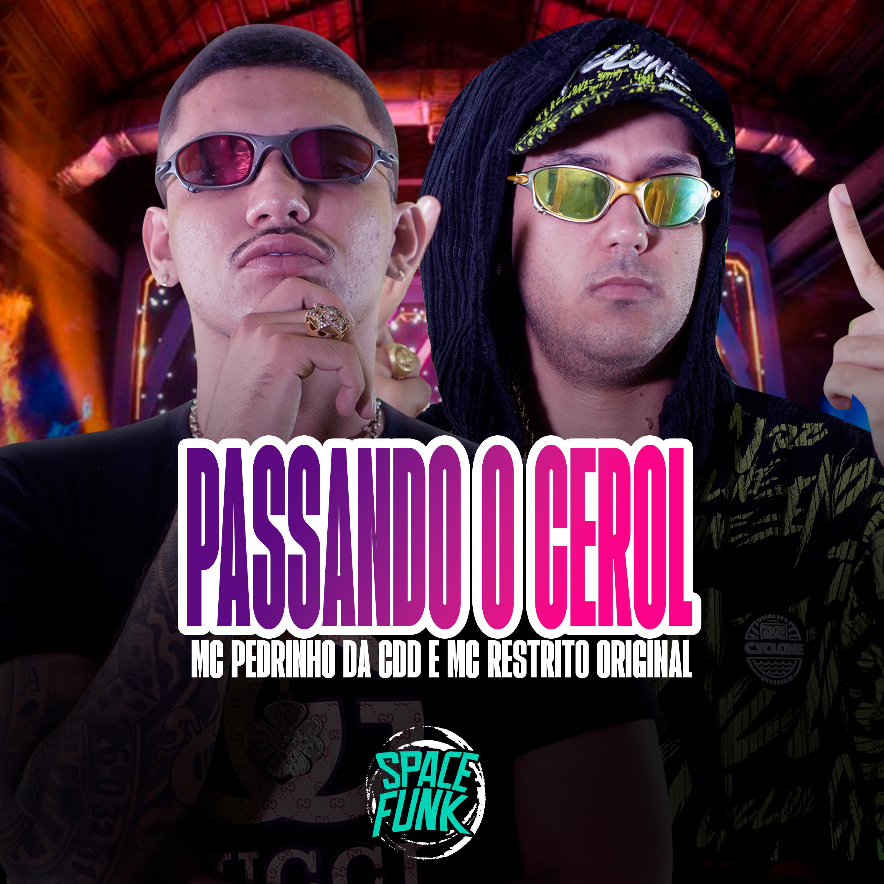 Постер альбома Passando o Cerol
